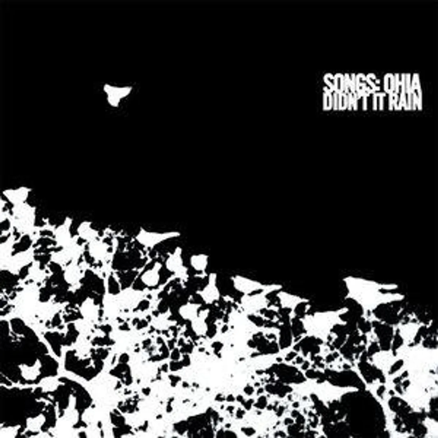 Songs: Ohia DIDN'T IT RAIN (DELUXE) CD