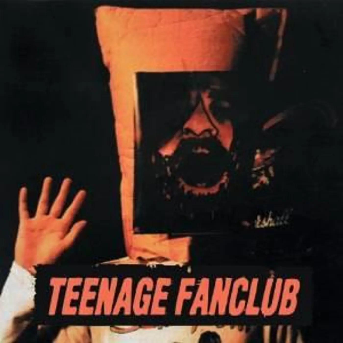Teenage Fanclub DEEP FRIED FANCLUB CD