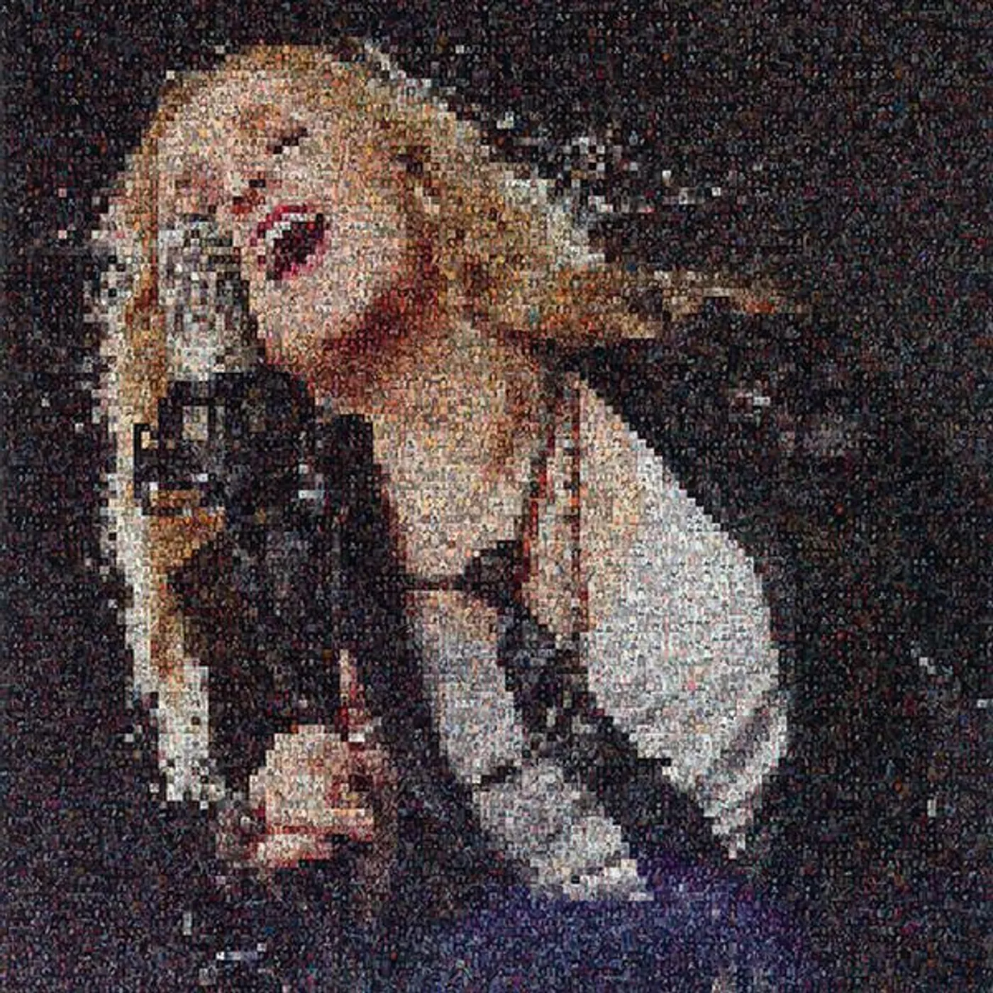 Melissa Etheridge THIS IS ME CD