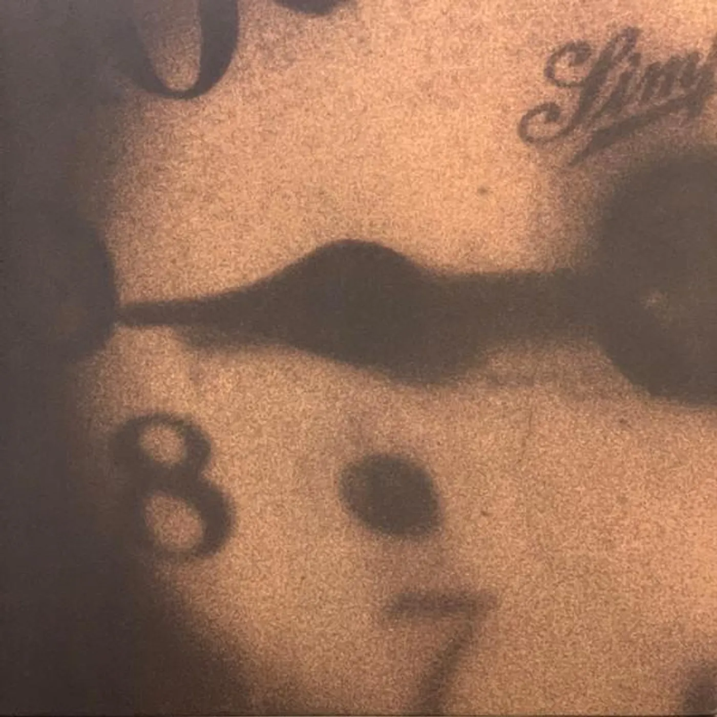 Mark Kozelek Rock N Roll Singer Vinyl Record