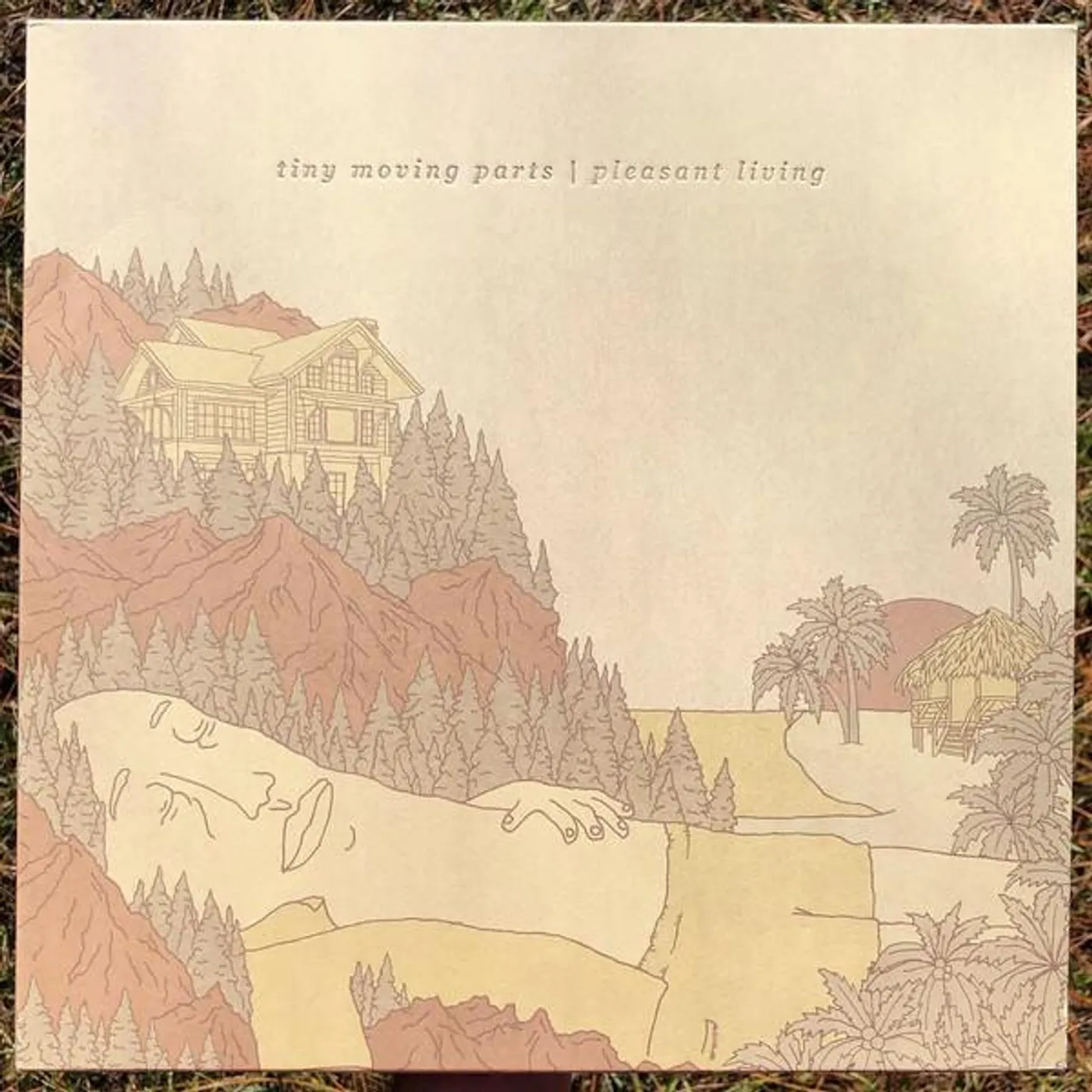Tiny Moving Parts PLEASANT LIVING Vinyl Record