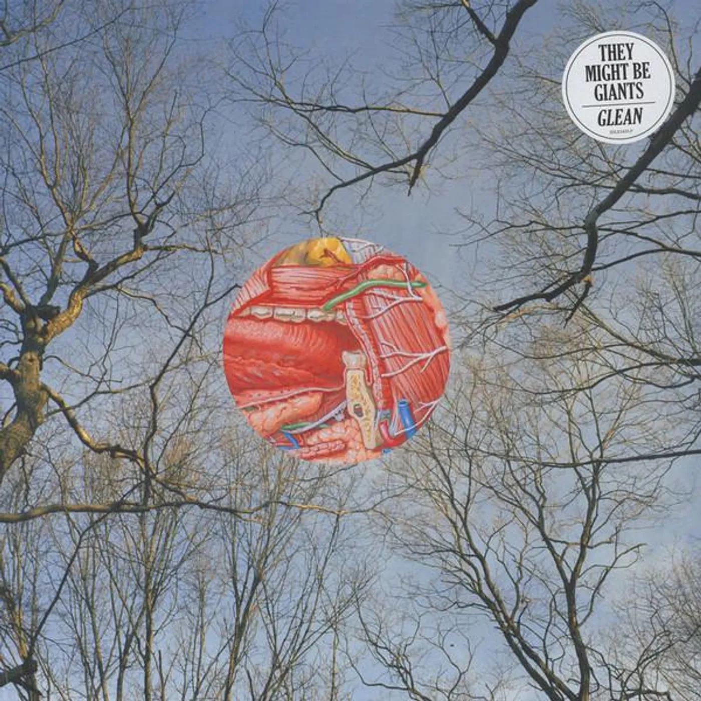 They Might Be Giants GLEAN Vinyl Record