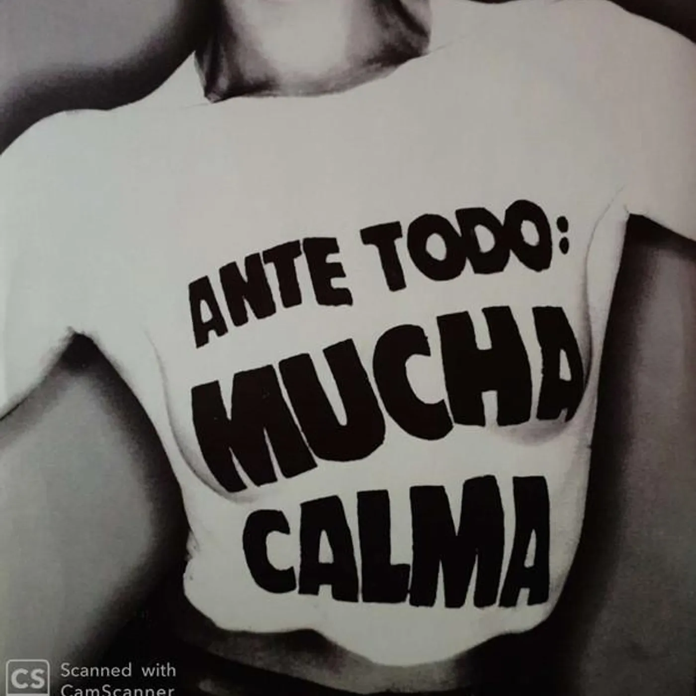 Siniestro Total ANTE TODO MUCHA CALMA Vinyl Record