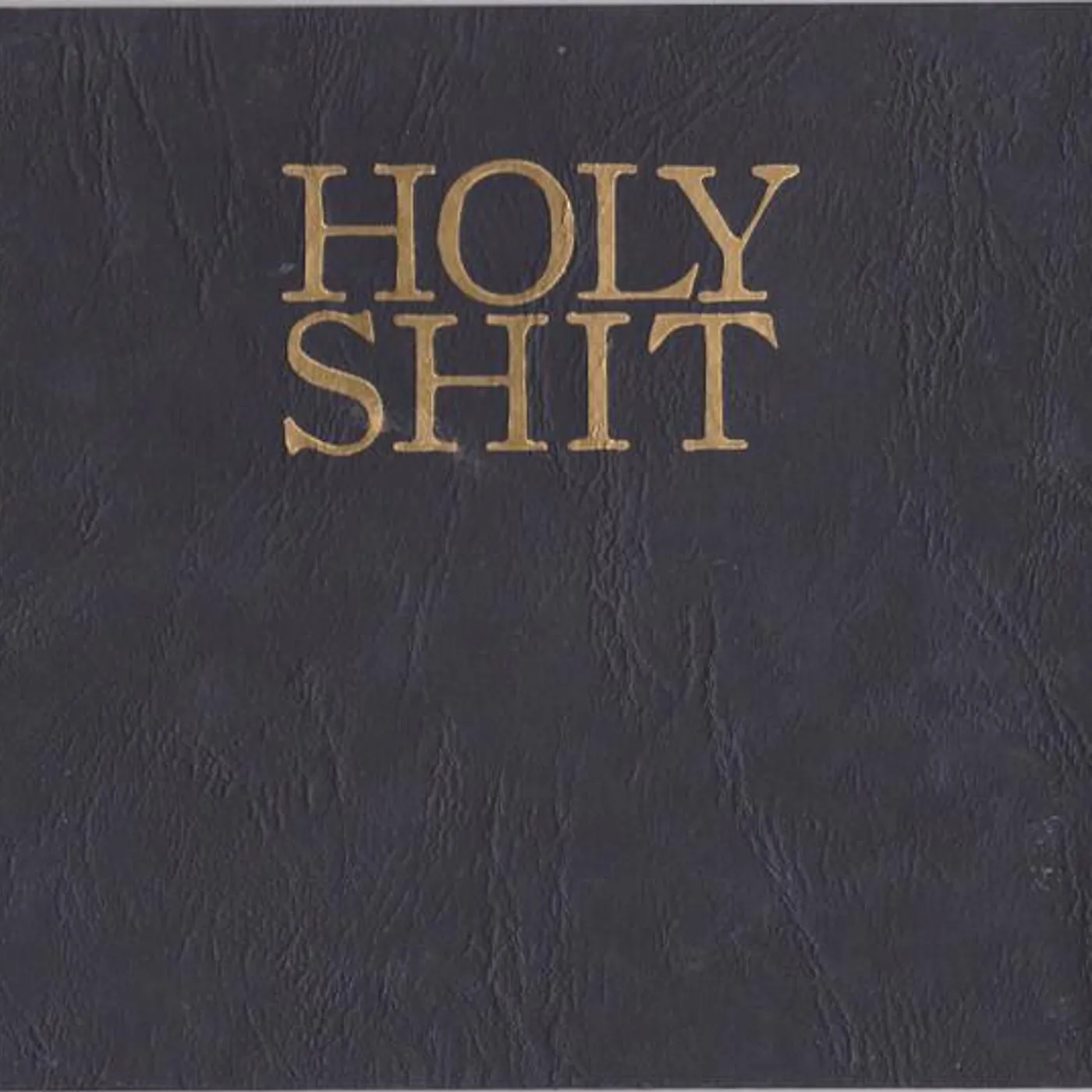 Living With Lions HOLY SHIT CD