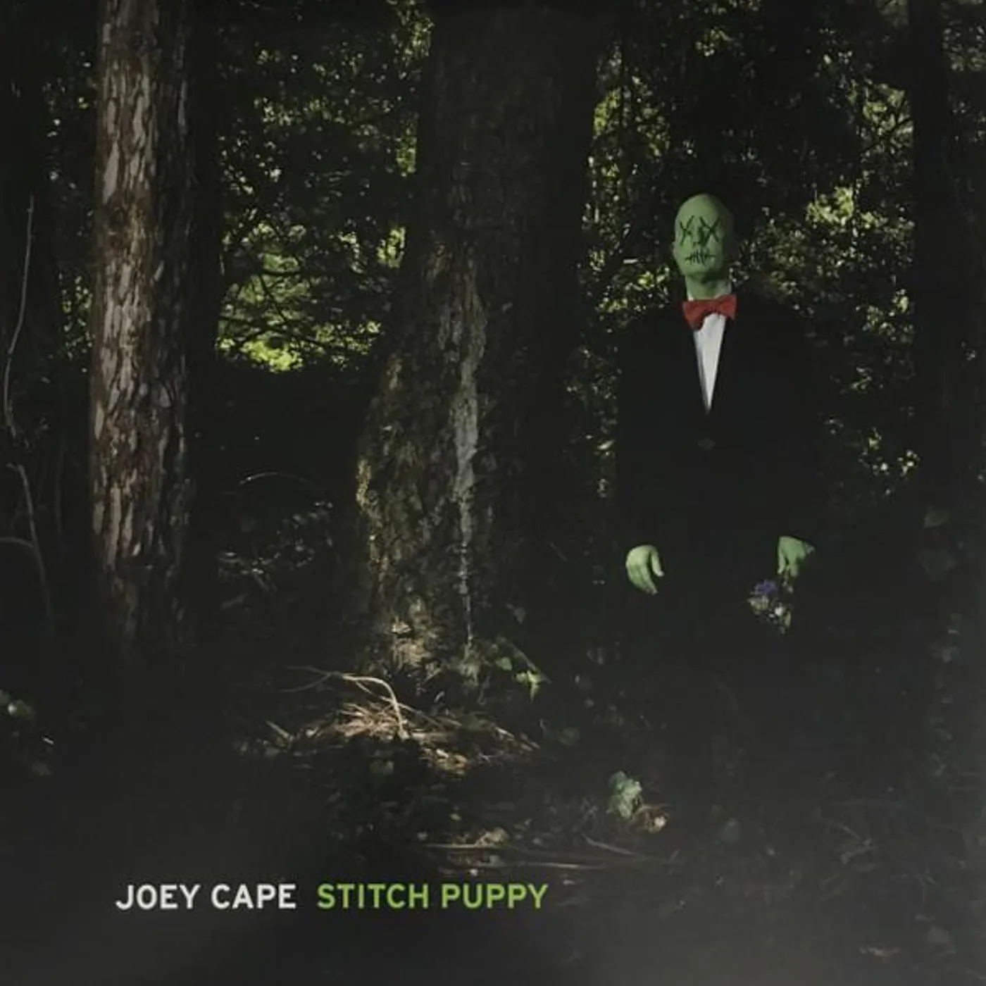 Joey Cape STITCH PUPPY Vinyl Record