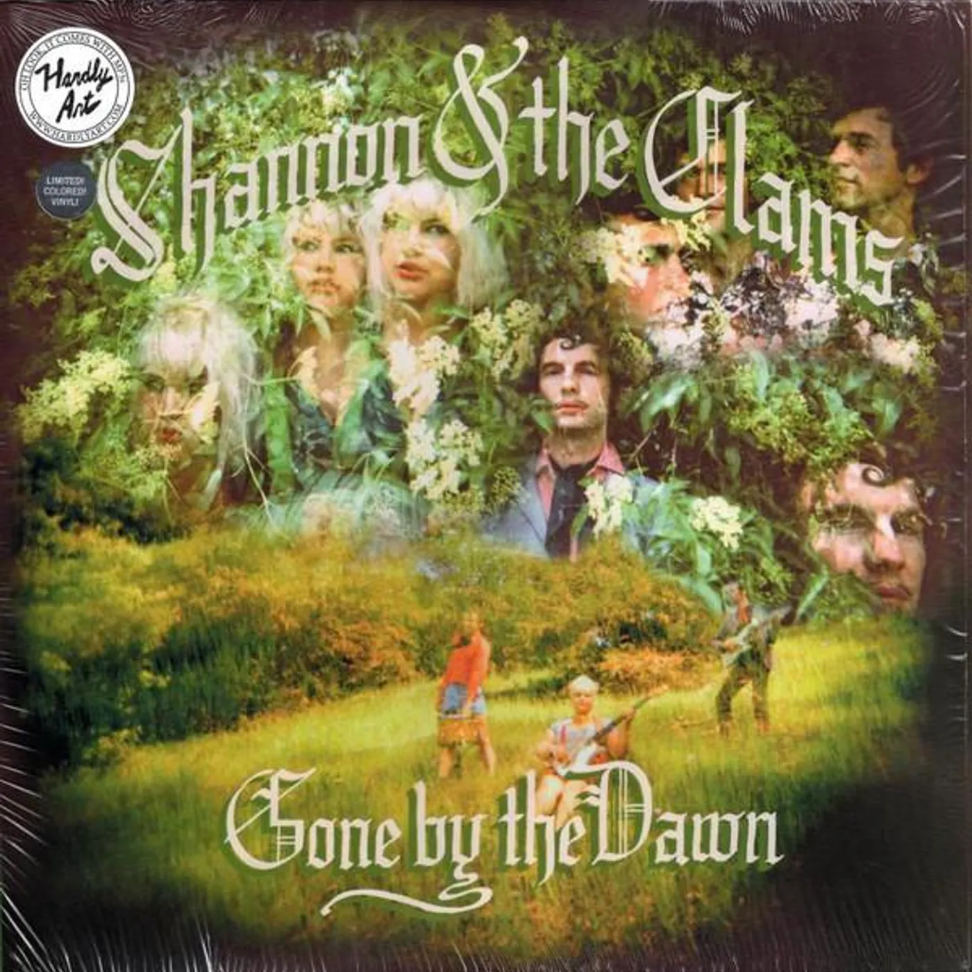 Shannon & The Clams GONE BY THE DAWN (DL CARD) Vinyl Record