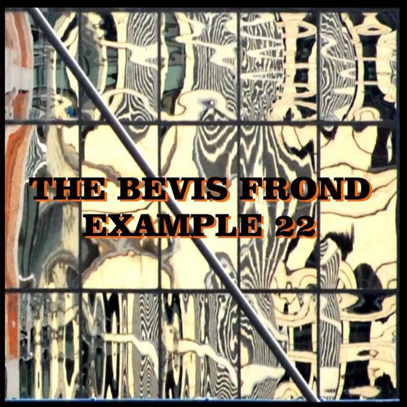 The Bevis Frond Example 22 Vinyl Record