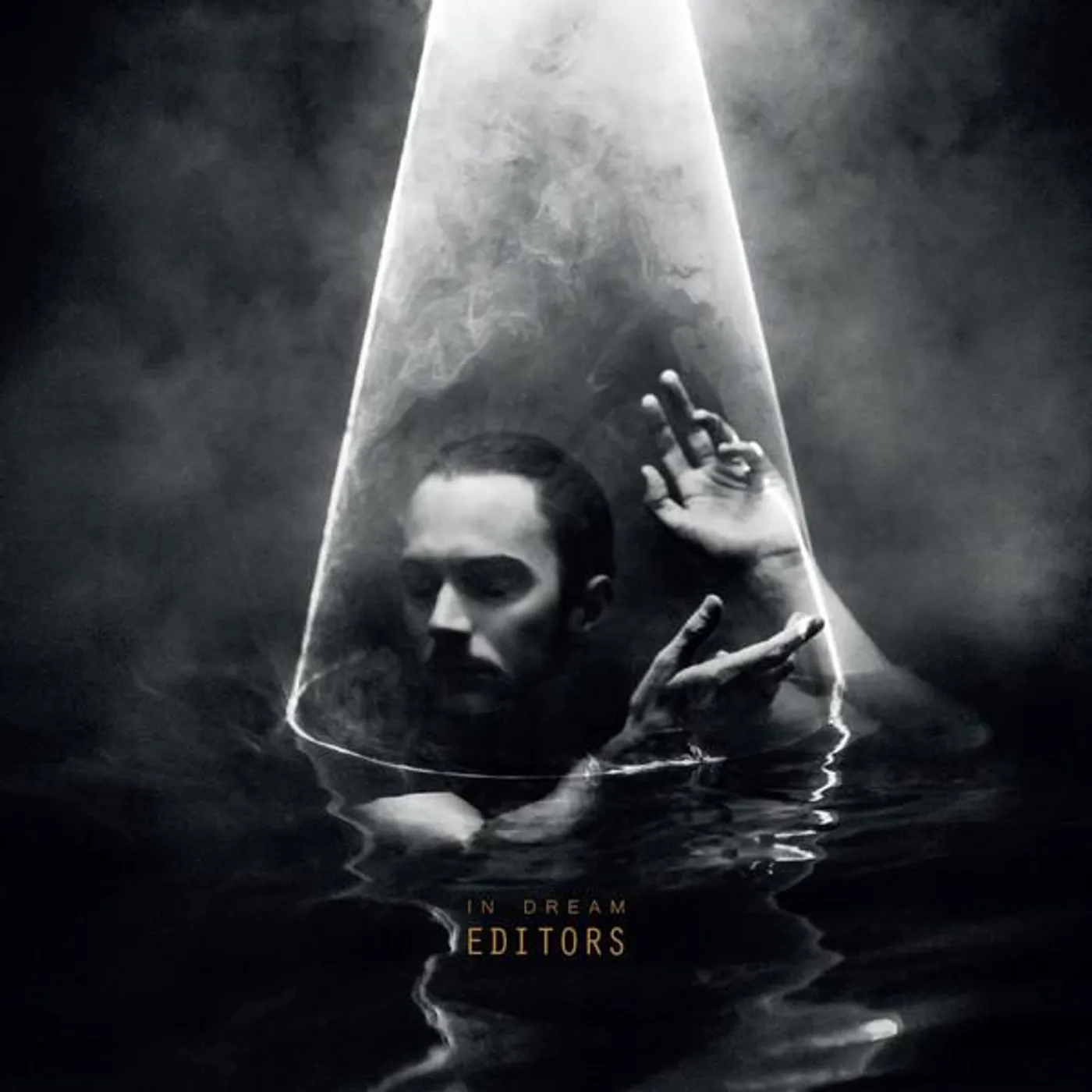 Editors In Dream (Gold) Vinyl Record