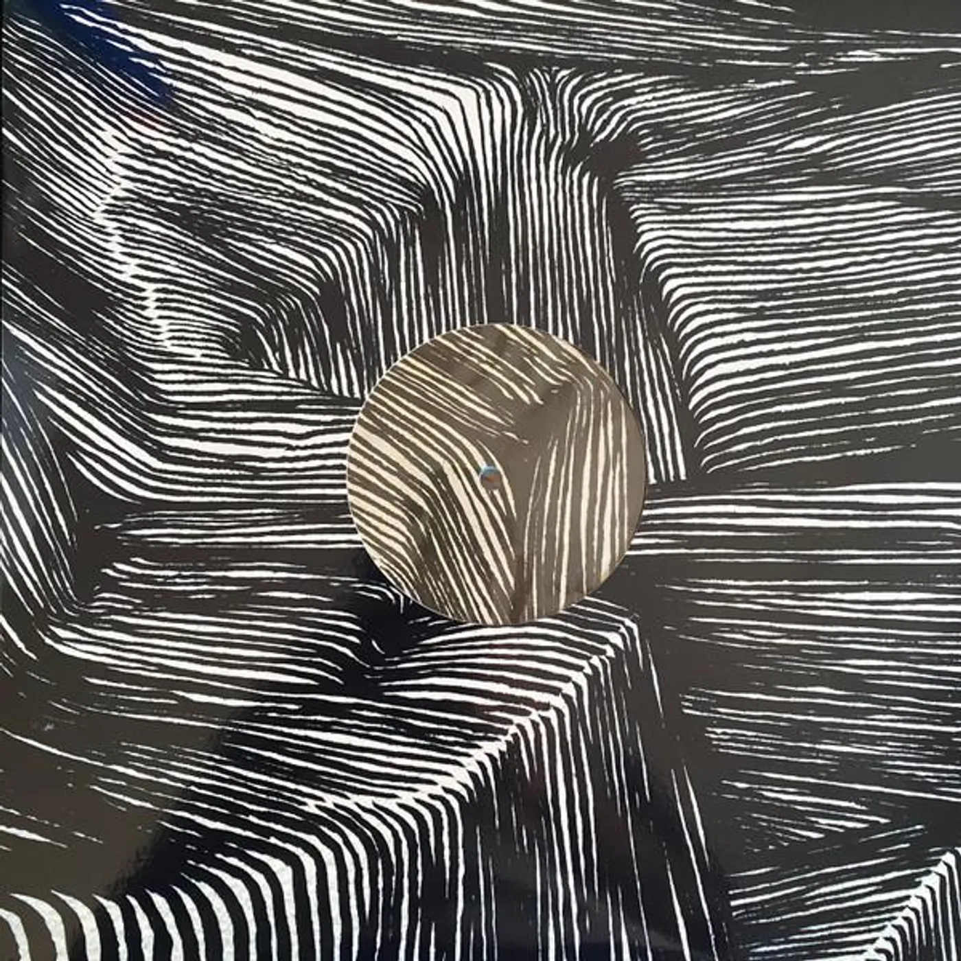 Maritime Magnetic Bodies/Maps of Bones Vinyl Record