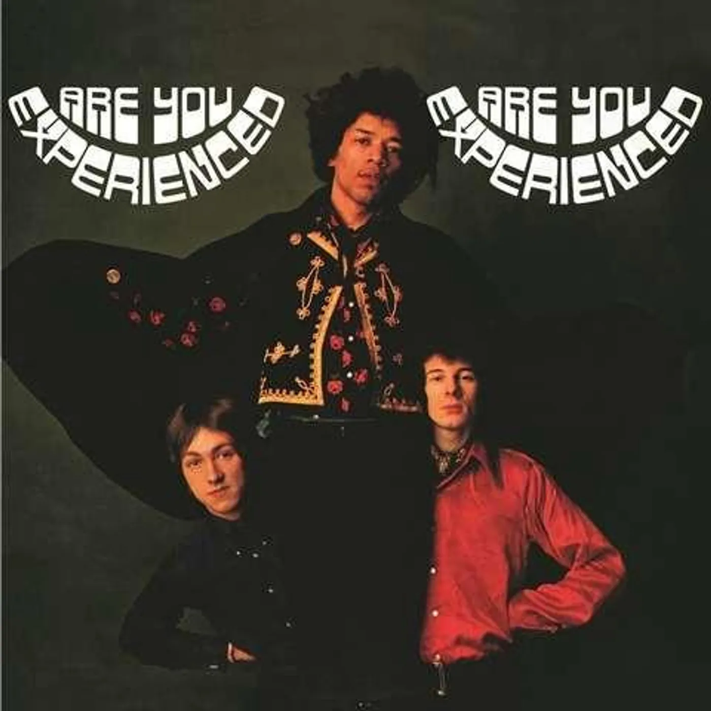Jimi Hendrix ARE YOU EXPERIENCED Vinyl Record