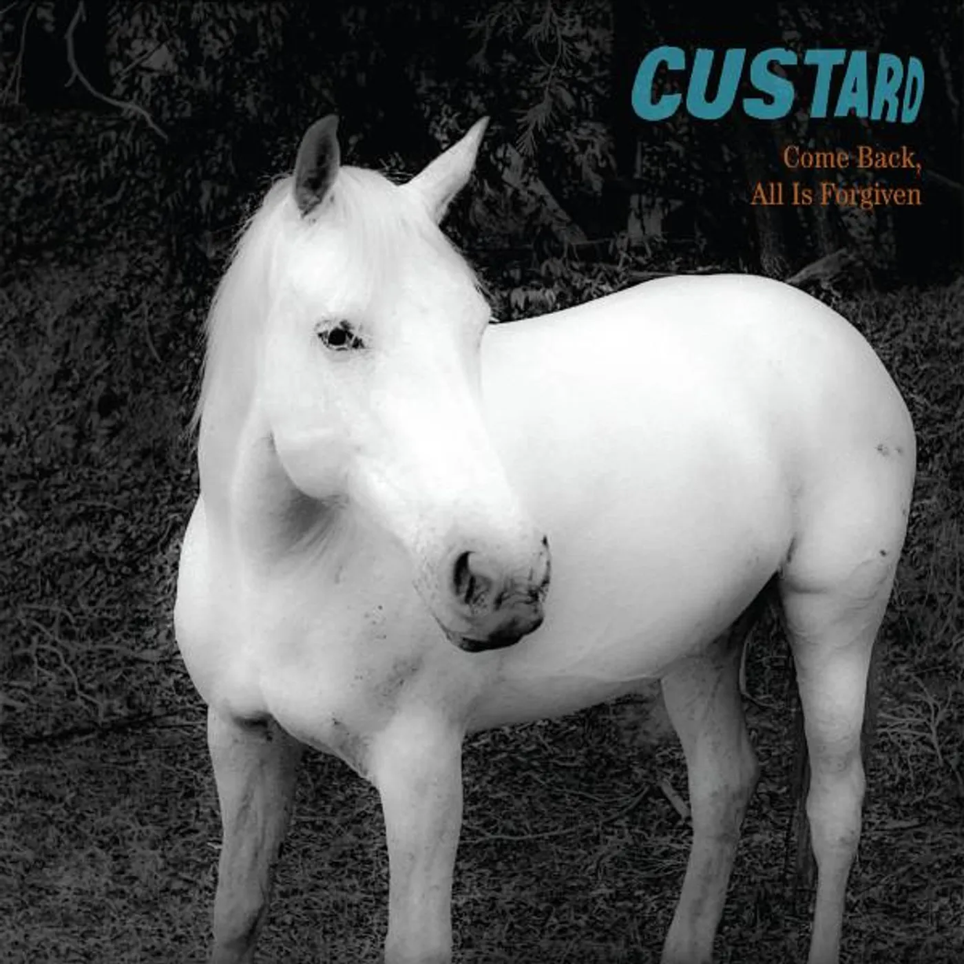 Custard COME BACK ALL IS FORGIVEN Vinyl Record