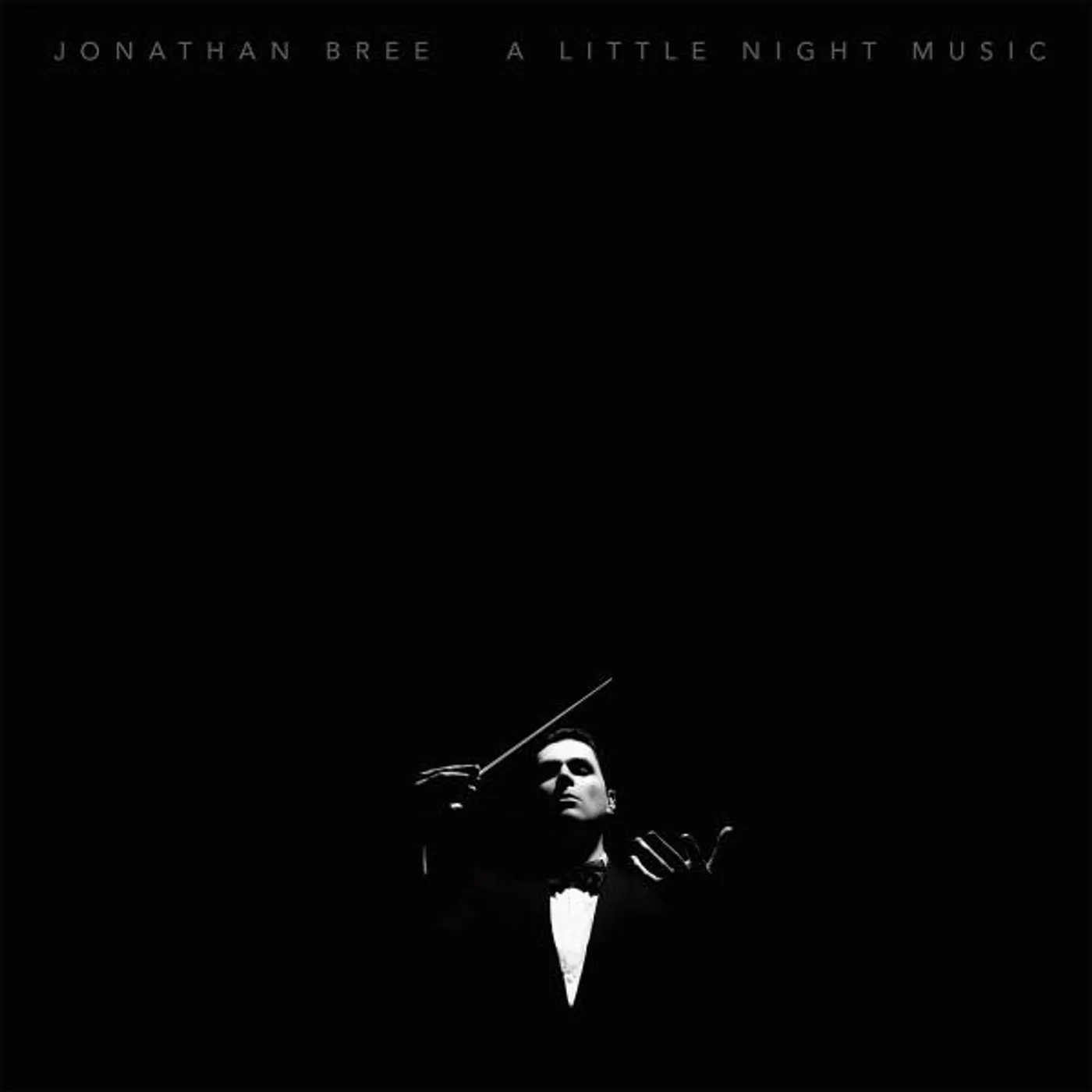Jonathan Bree LITTLE NIGHT MUSIC Vinyl Record