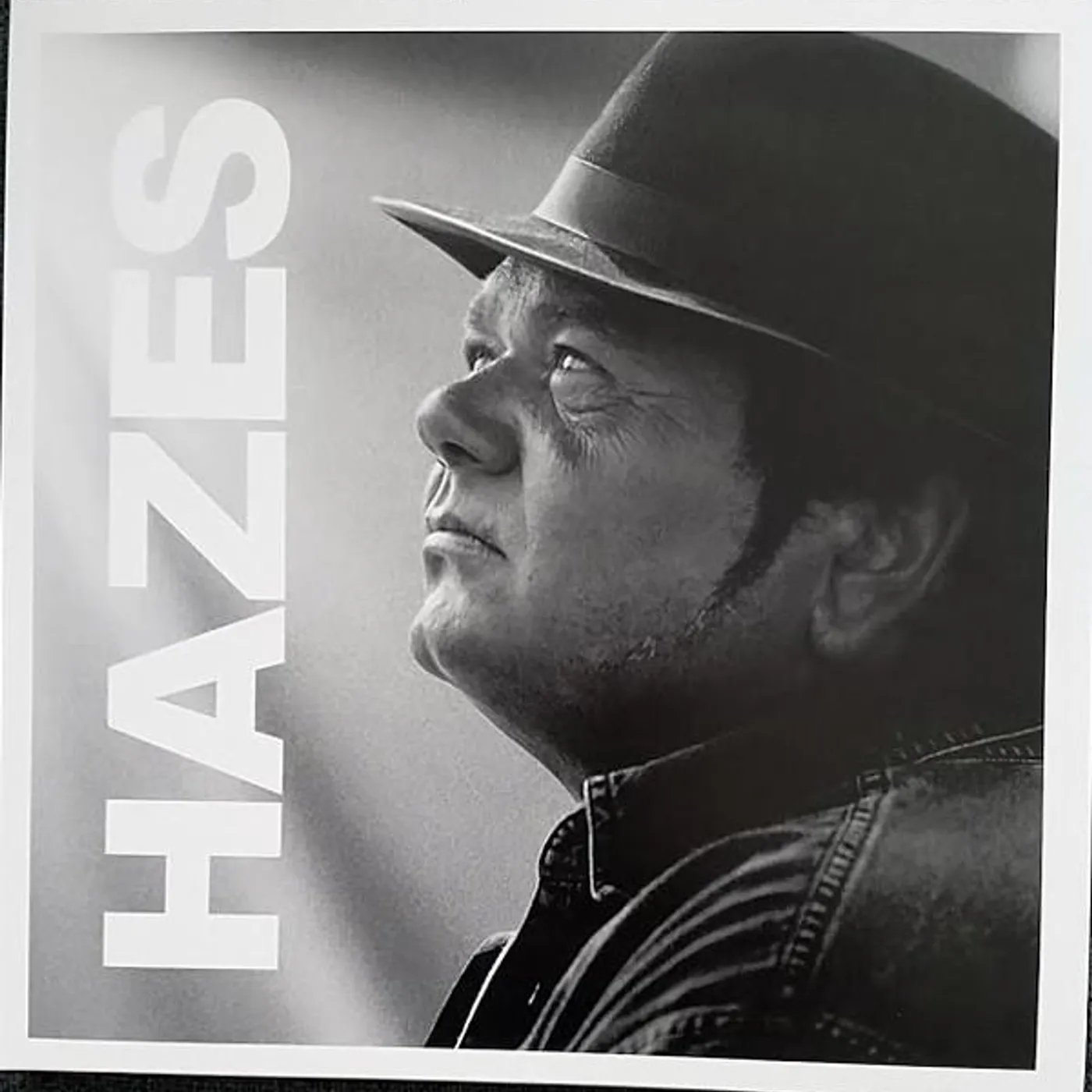 Andre Hazes Hazes Vinyl Record