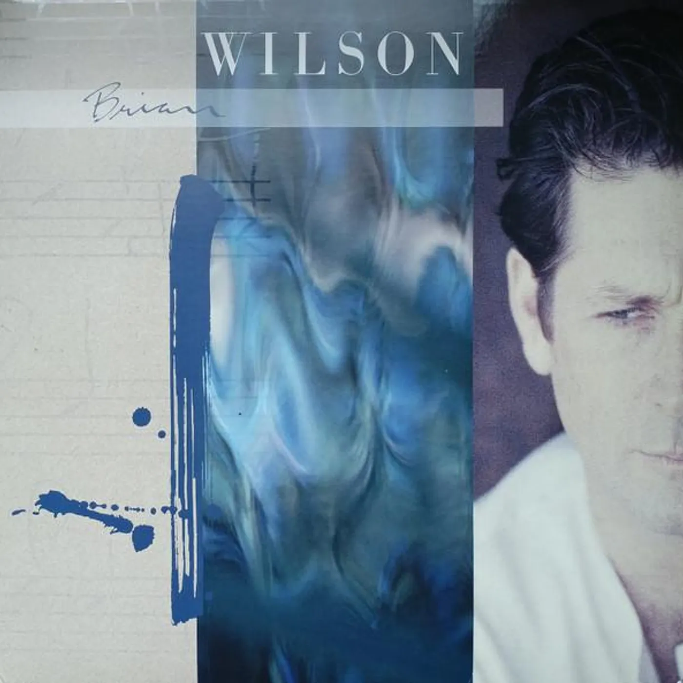 BRIAN WILSON (EXTENDED/BLUE & WHITE SWIRL) Vinyl Record