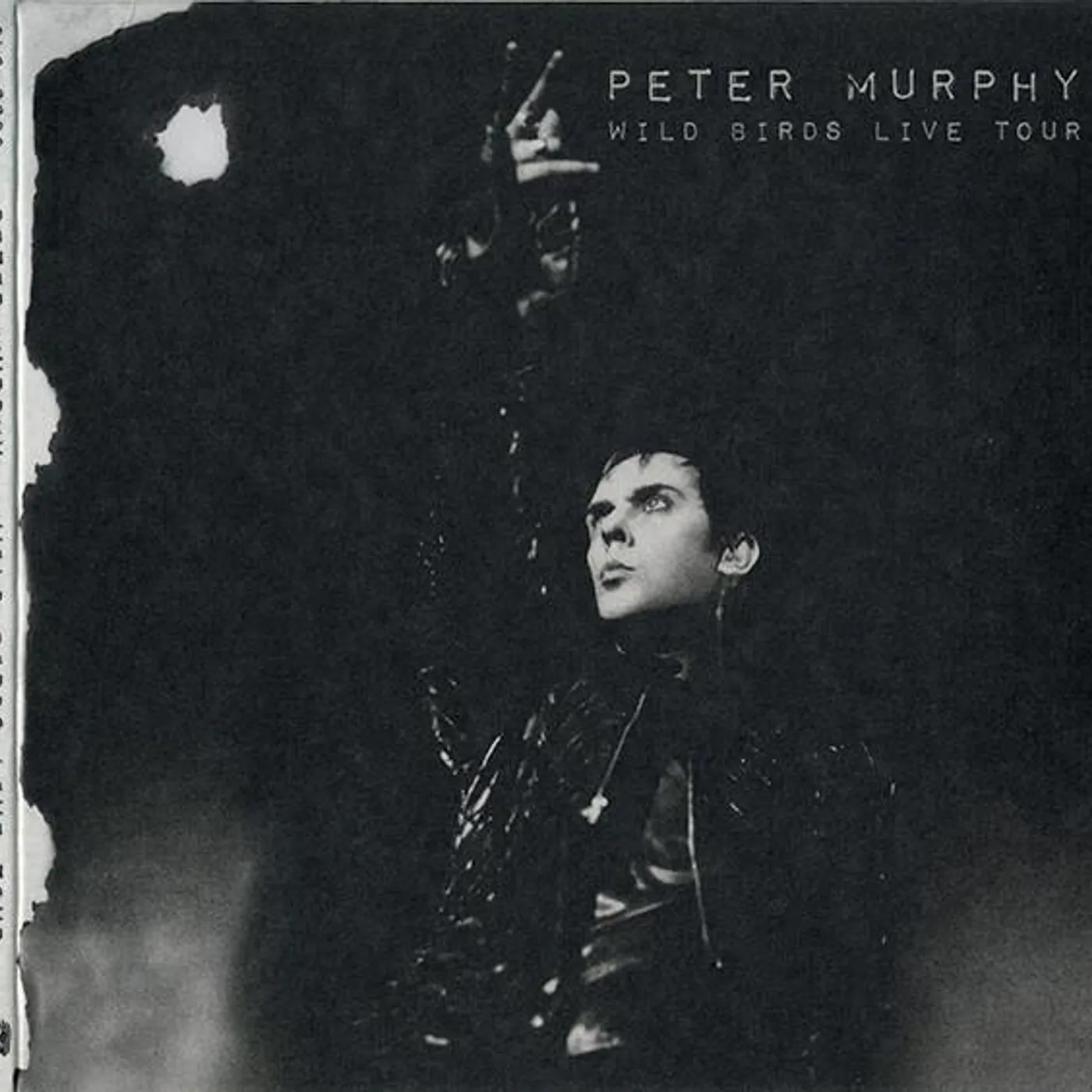 Peter Murphy WILD BIRDS LIVE TOUR CD