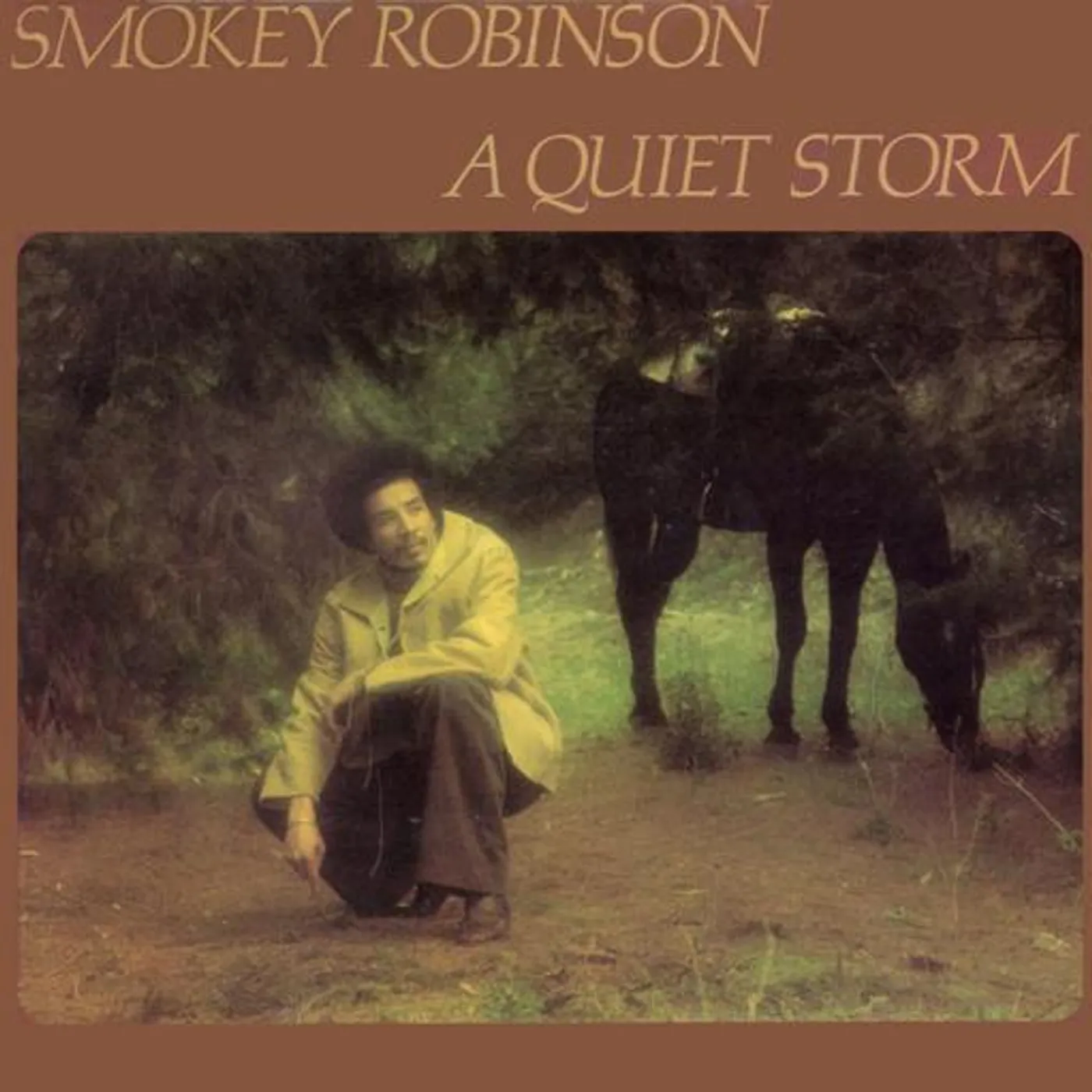 Smokey Robinson QUIET STORM CD