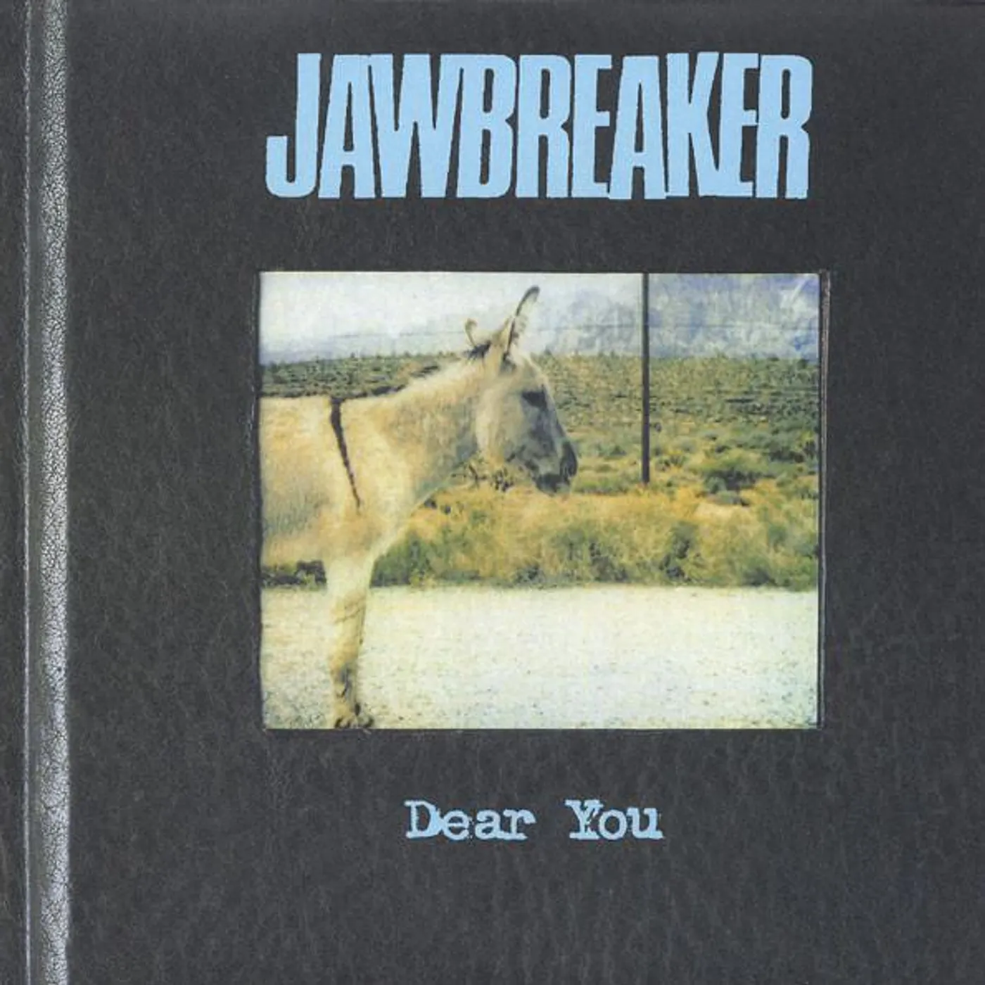 Jawbreaker Dear You Vinyl Record