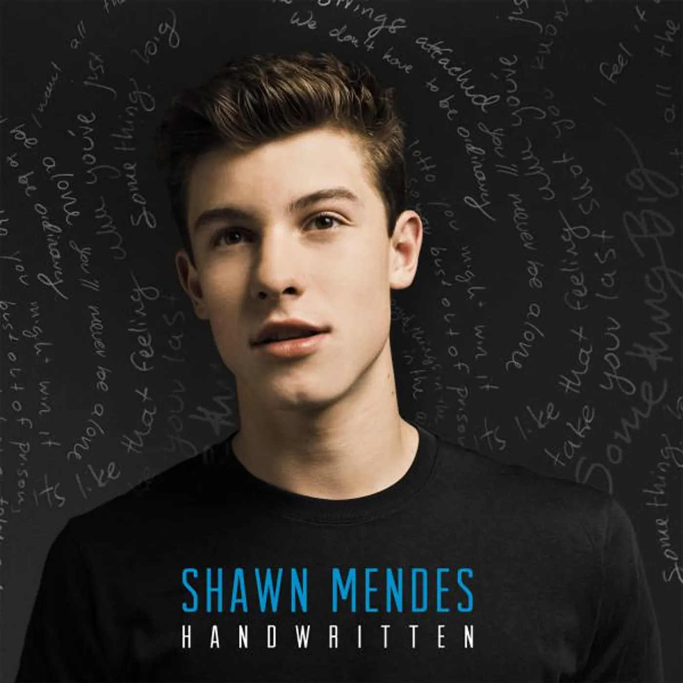 Shawn Mendes Handwritten Vinyl Record