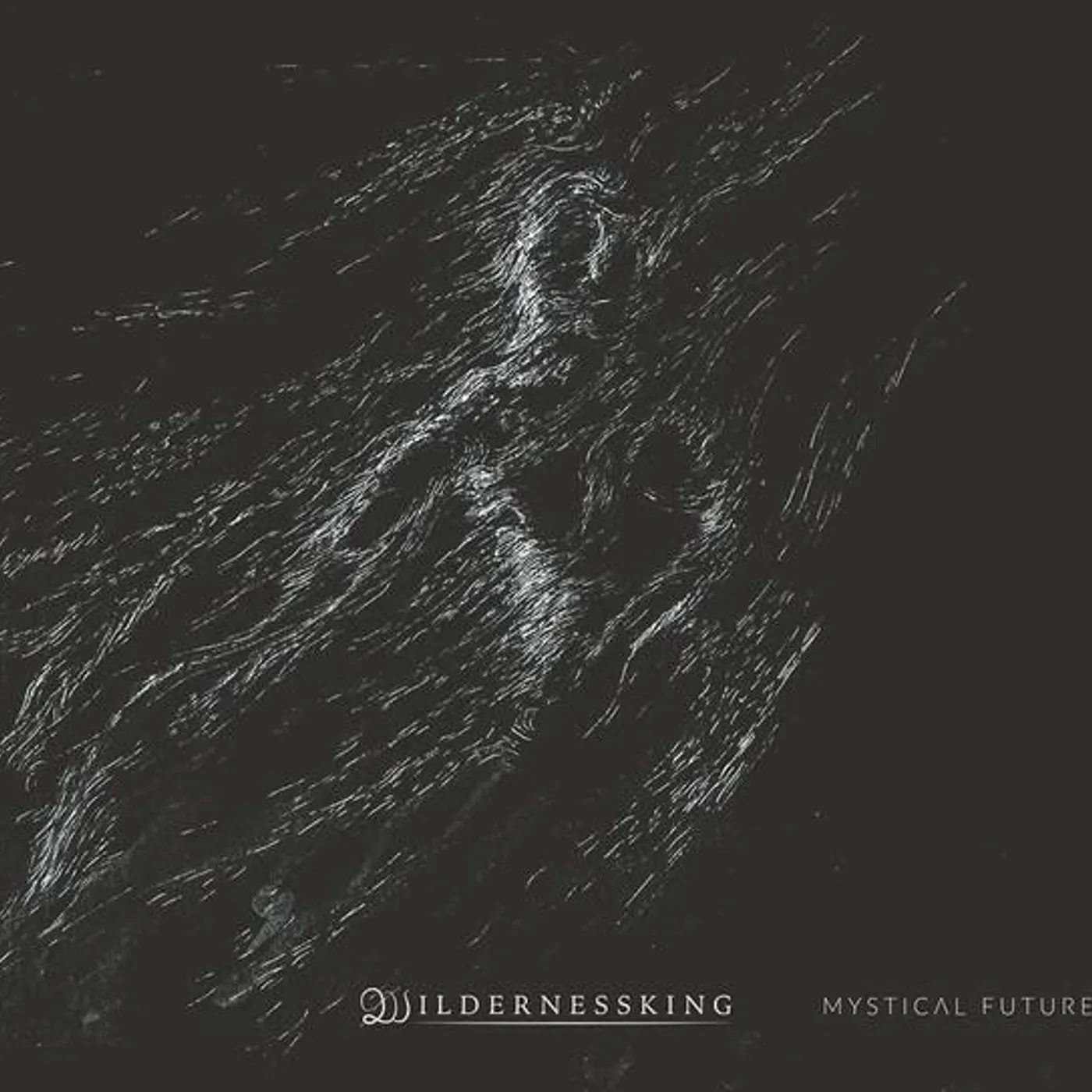 Wildernessking MYSTICAL FUTURE CD