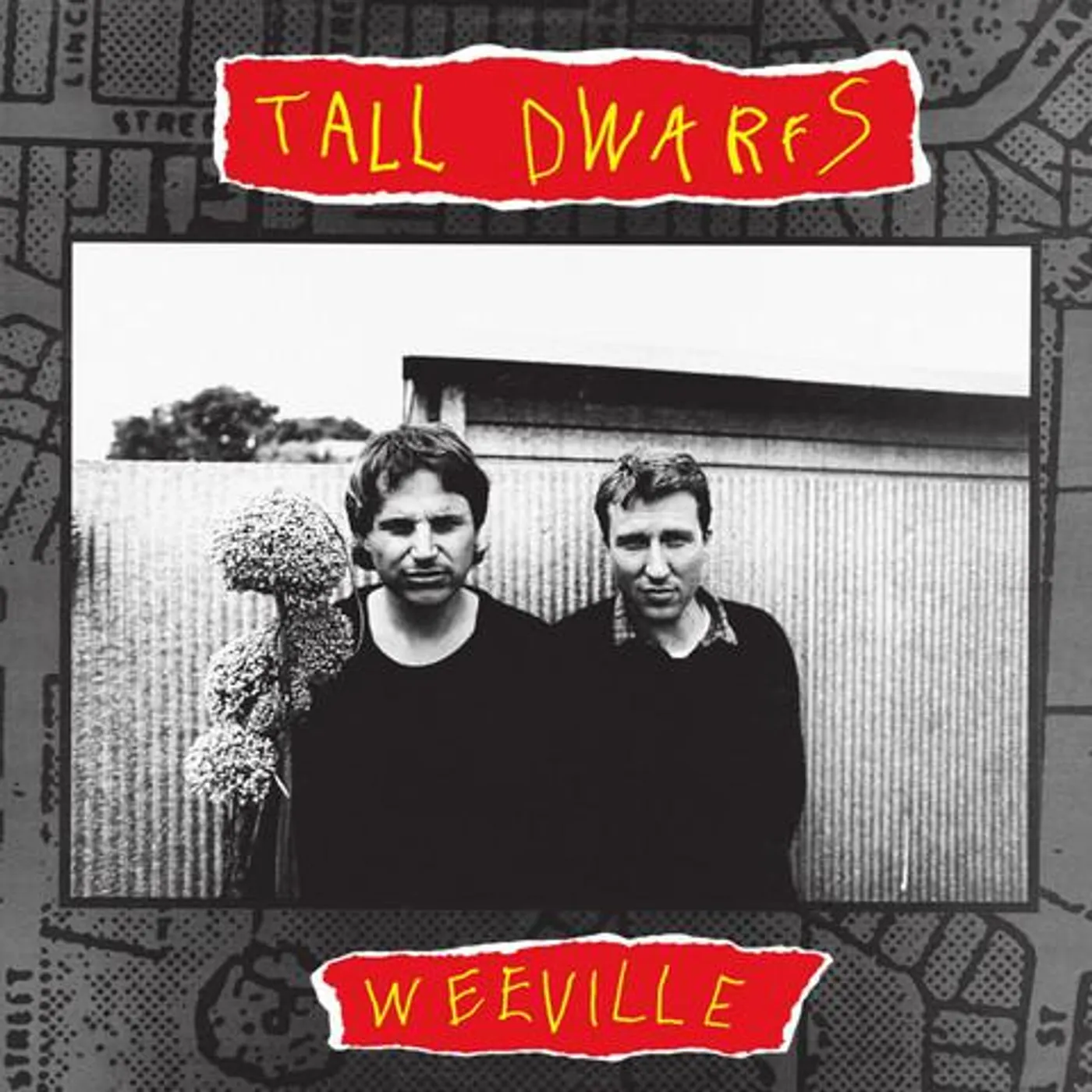 Tall Dwarfs WEEVILLE CD