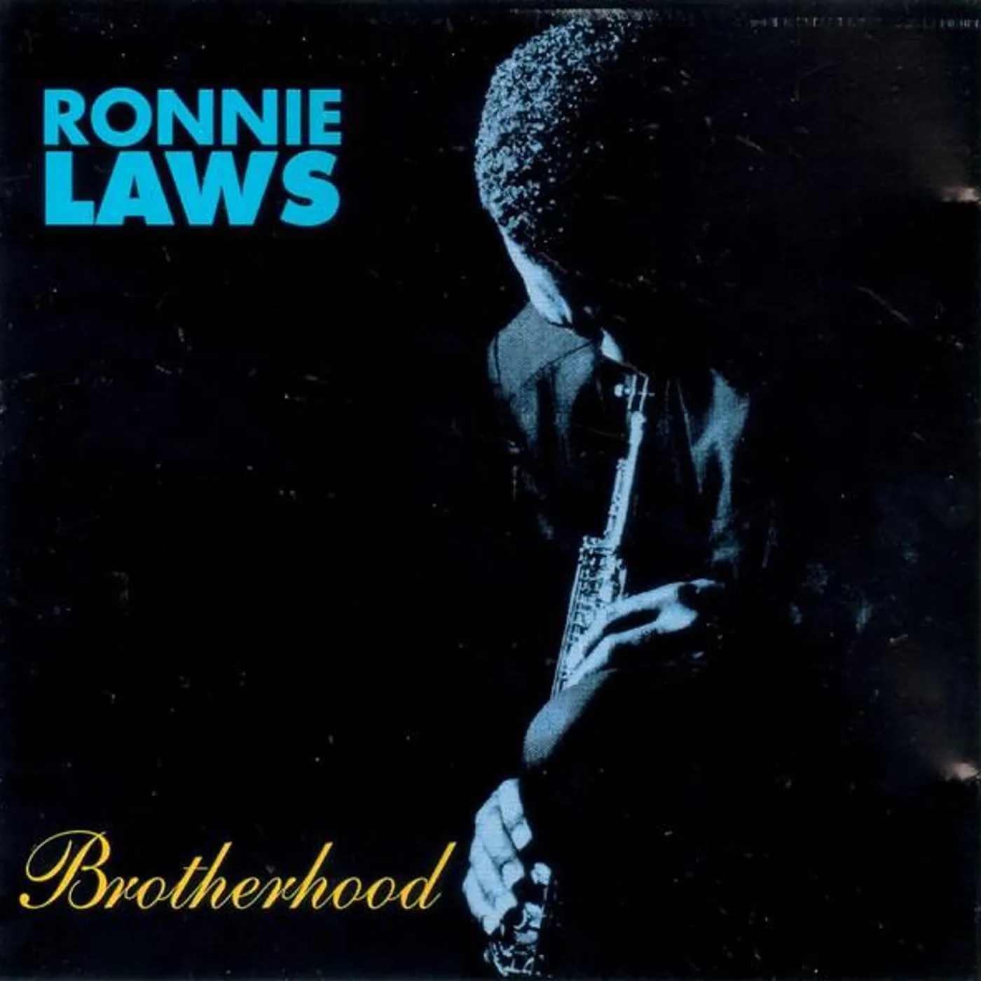 Ronnie Laws BROTHERHOOD CD