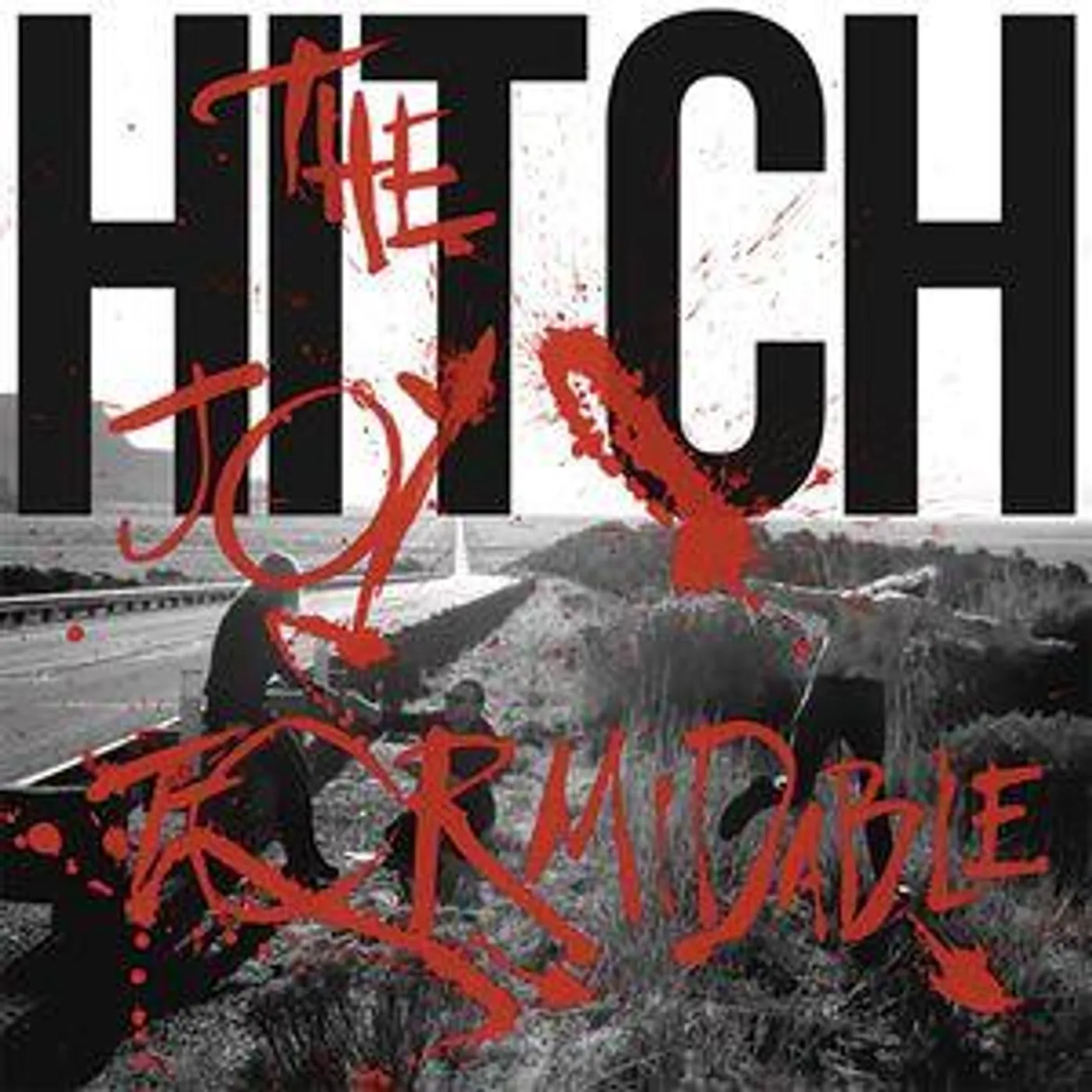 The Joy Formidable HITCH CD