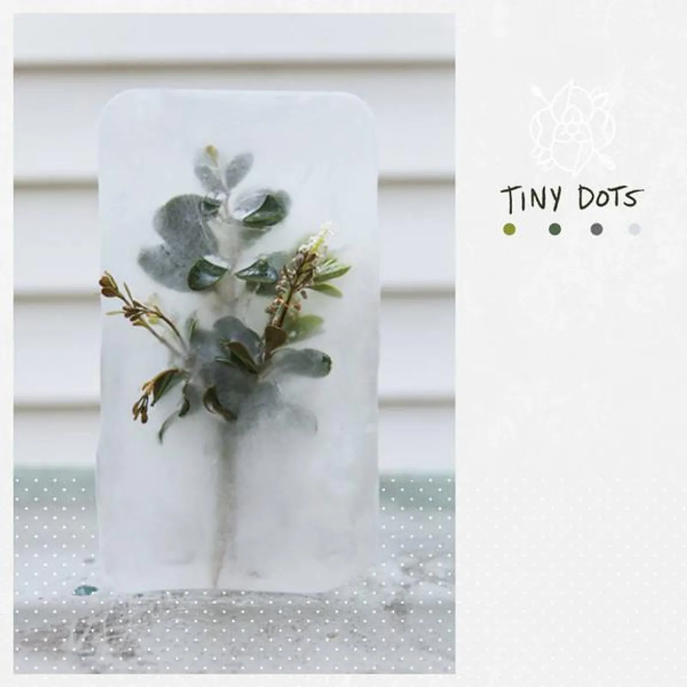 La Dispute TINY DOTS Vinyl Record