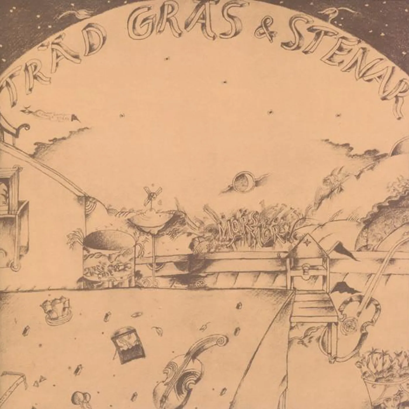 Träd Gräs Och Stenar MORS MORS Vinyl Record