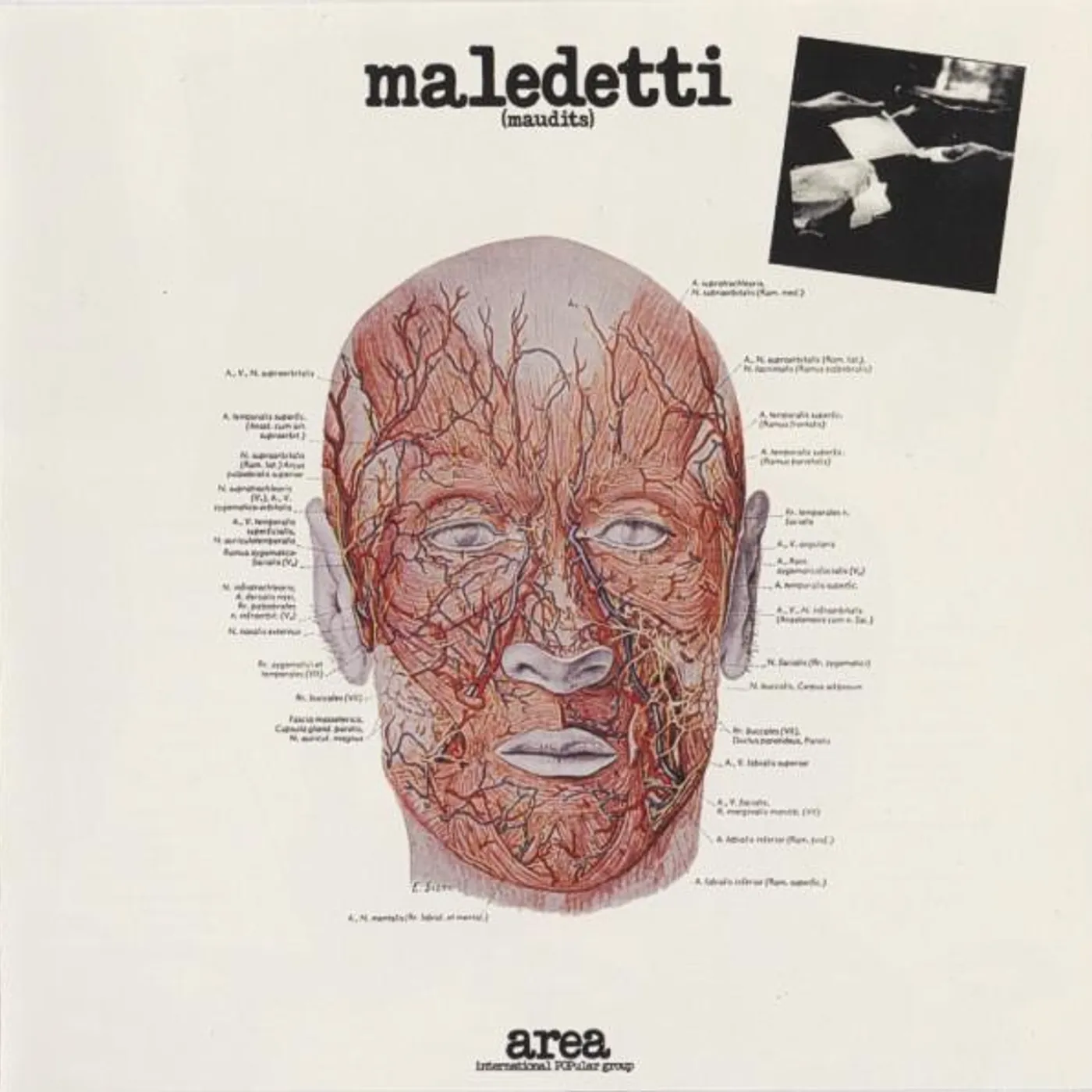 Area MALEDETTI CD