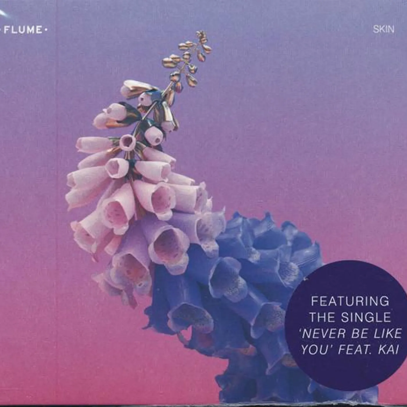 Flume SKIN CD