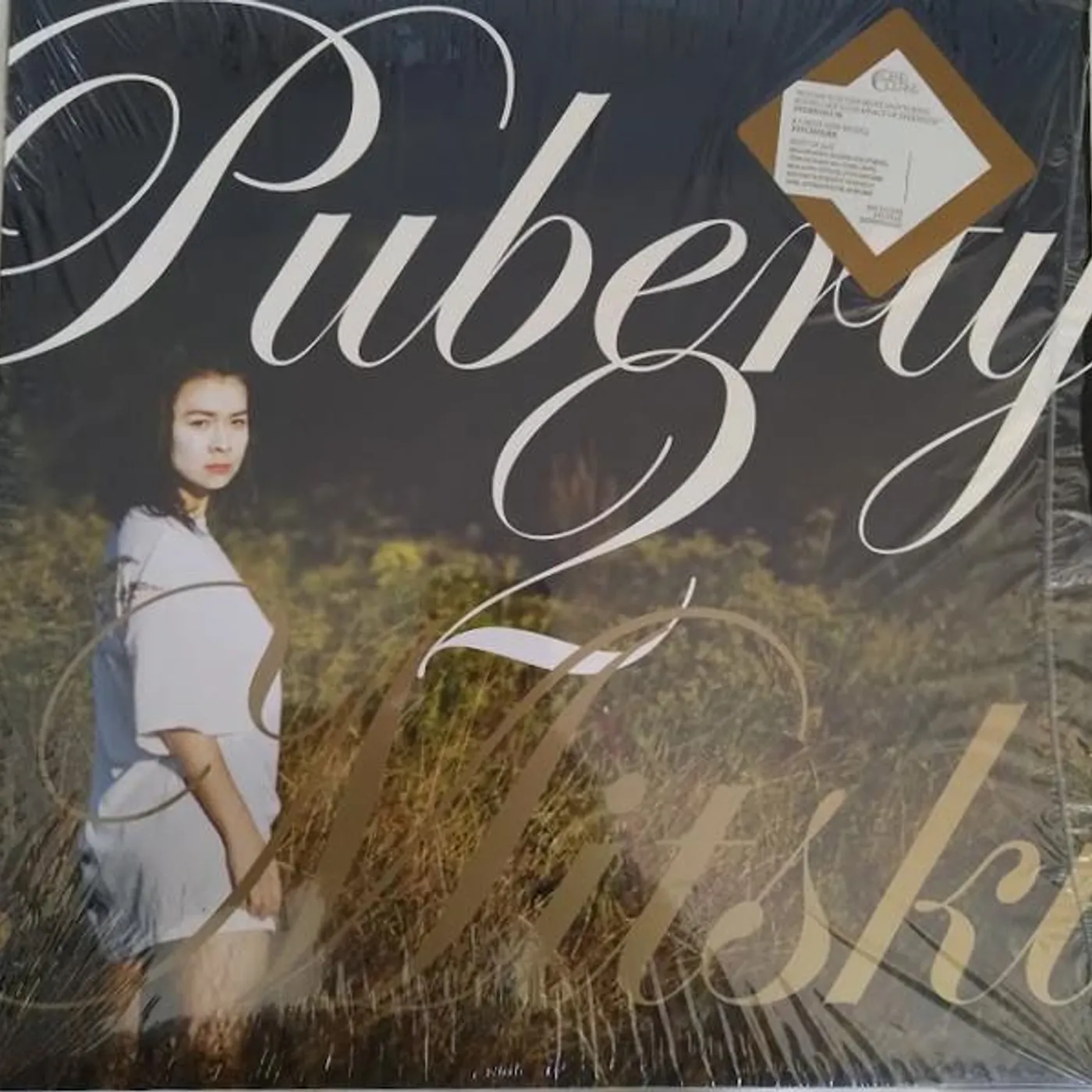 Mitski Puberty 2 Vinyl Record
