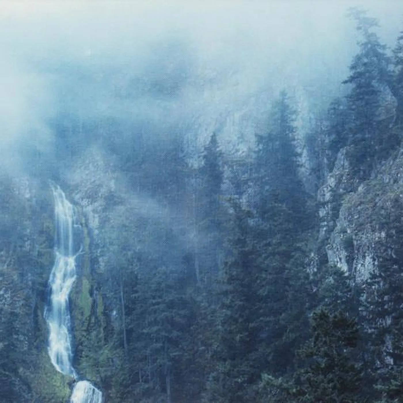 Wolves In The Throne Room DIADEM OF 12 STARS CD