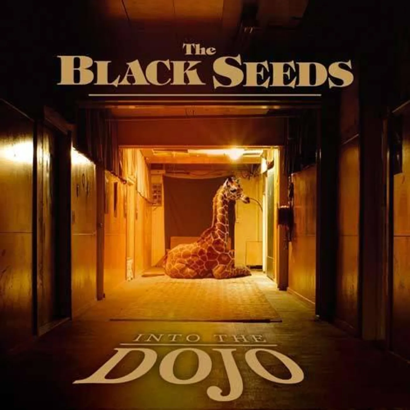 The Black Seeds INTO THE DOJO Vinyl Record
