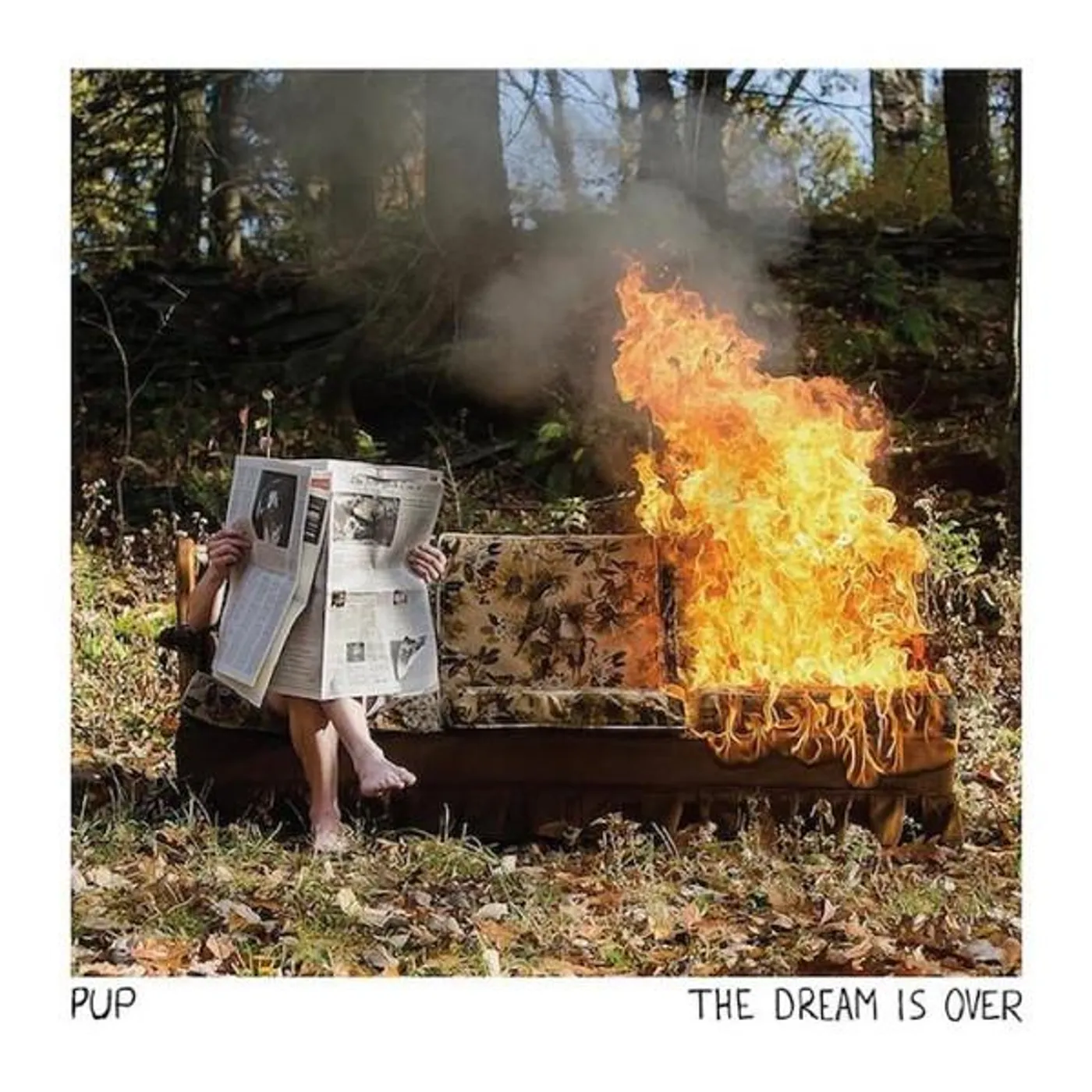 PUP DREAM IS OVER CD