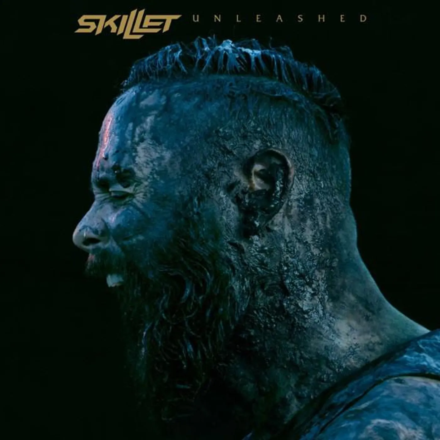 Skillet UNLEASHED CD