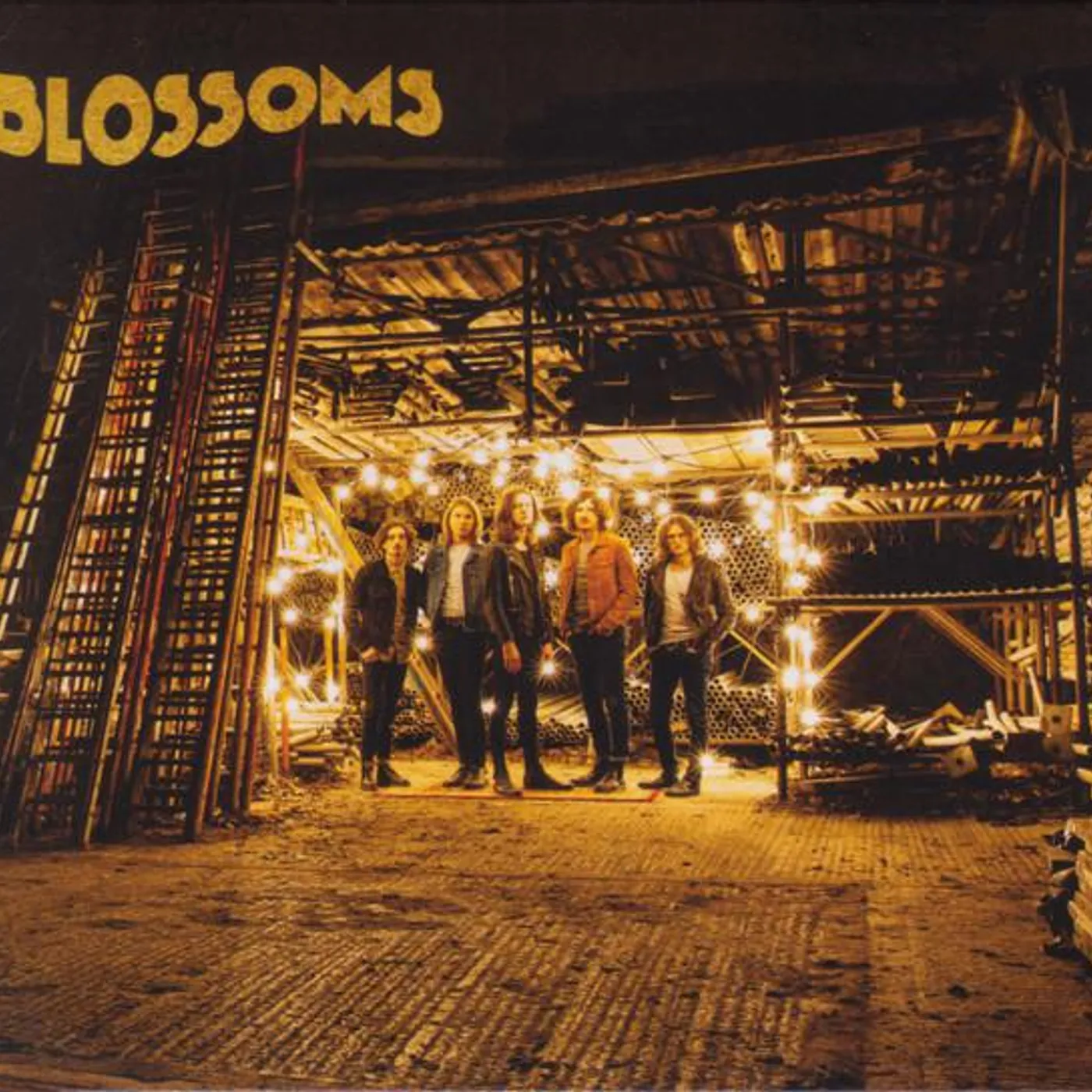 BLOSSOMS CD