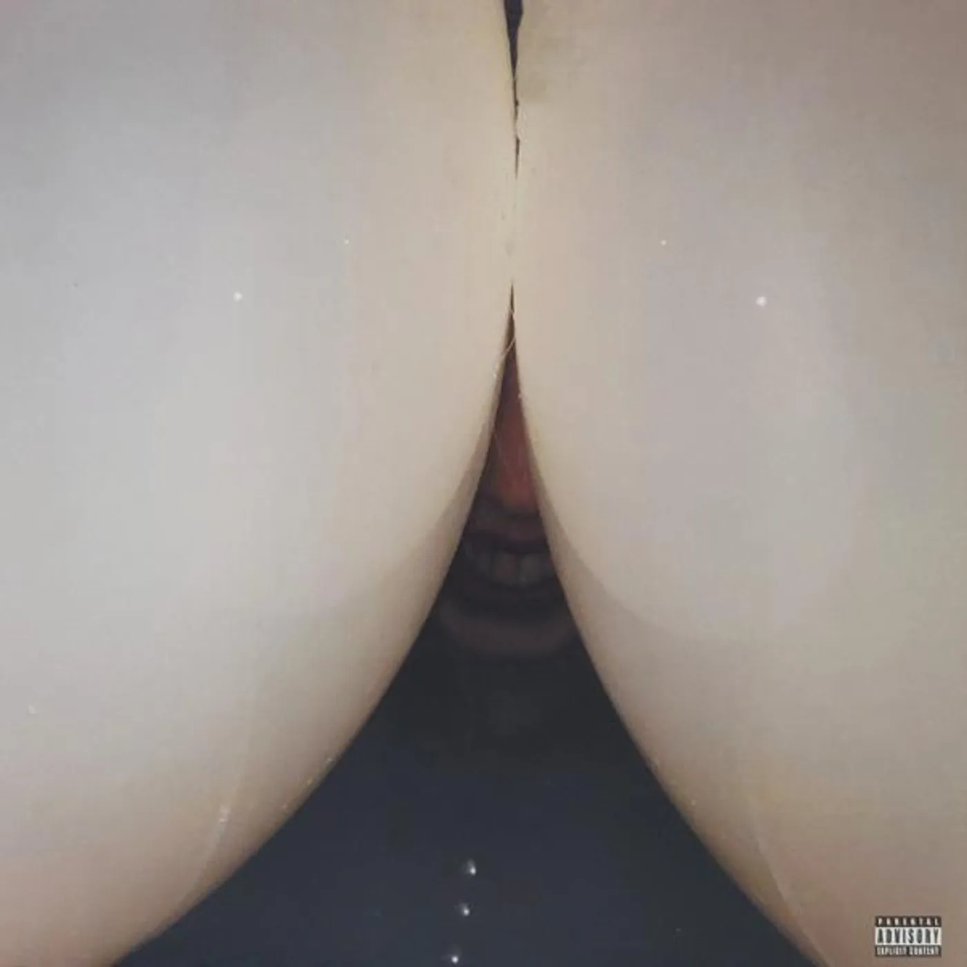 Death Grips Bottomless Pit Vinyl Record