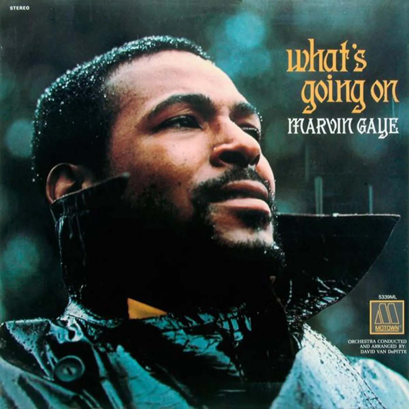 Marvin Gaye WHAT'S GOING ON Vinyl Record