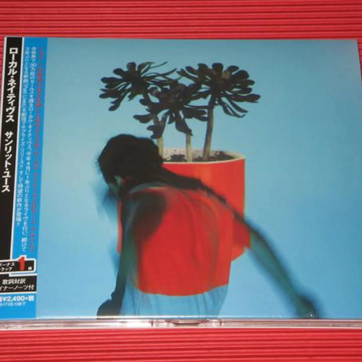 Local Natives SUNLIT YOUTH CD