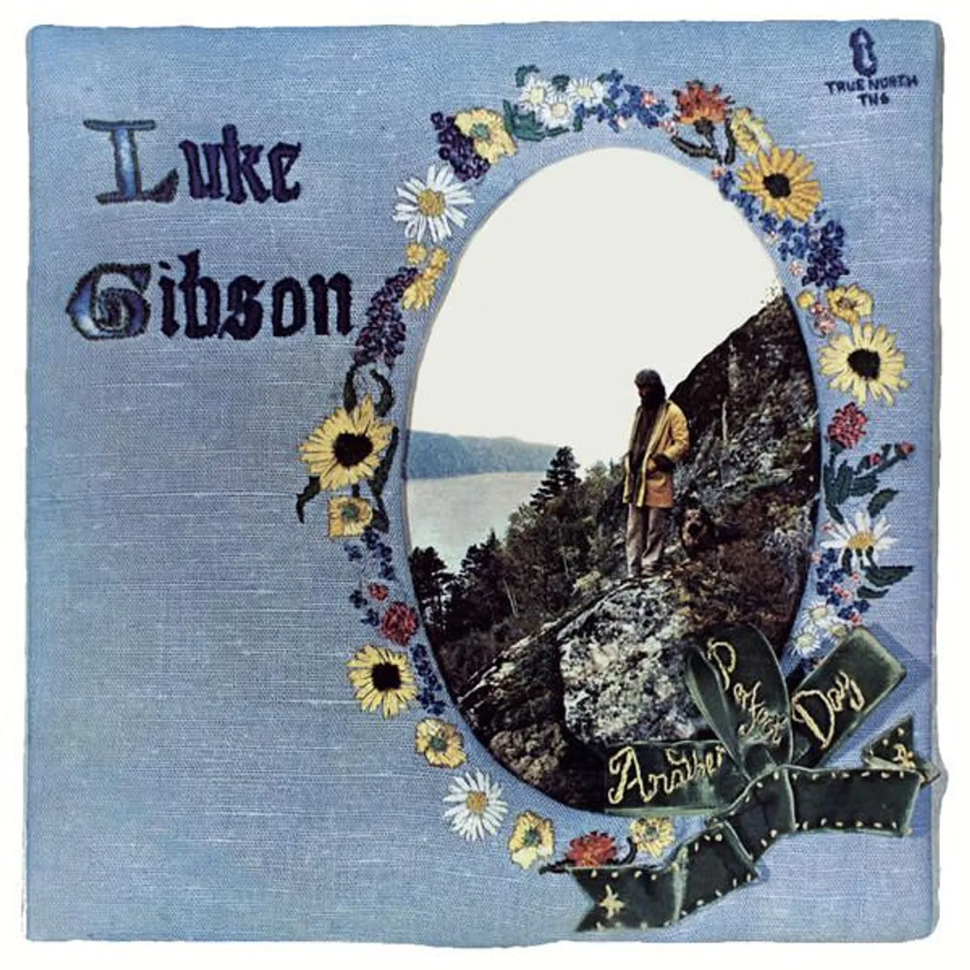 Luke Gibson Another Perfect Day Vinyl Record