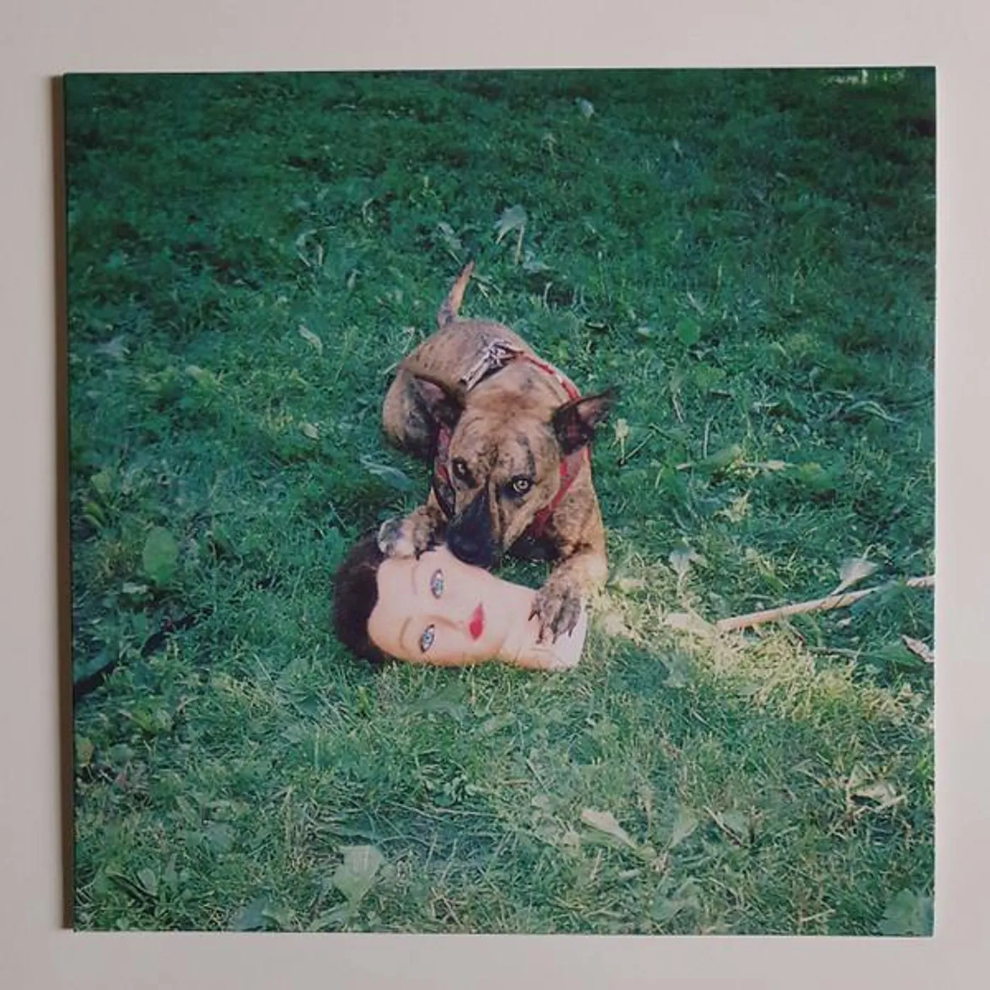 Joyce Manor CODY (DL CARD) Vinyl Record