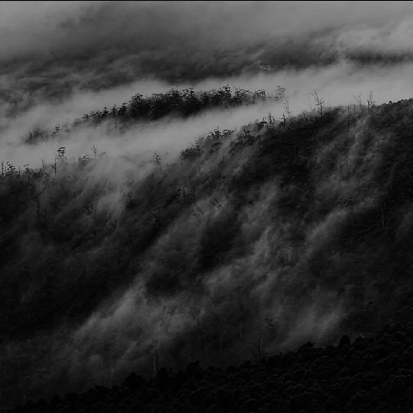 NATION BLUE BLUE Vinyl Record