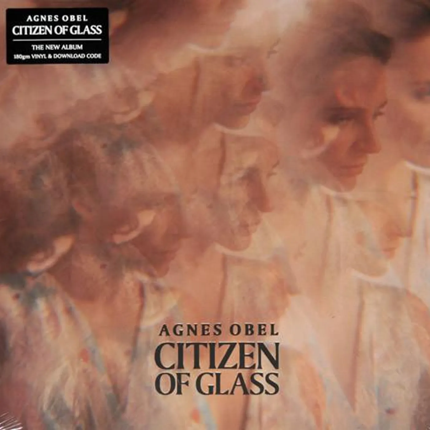 Agnes Obel CITIZEN OF GLASS Vinyl Record