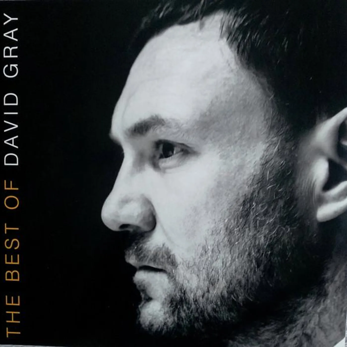 BEST OF DAVID GRAY Vinyl Record