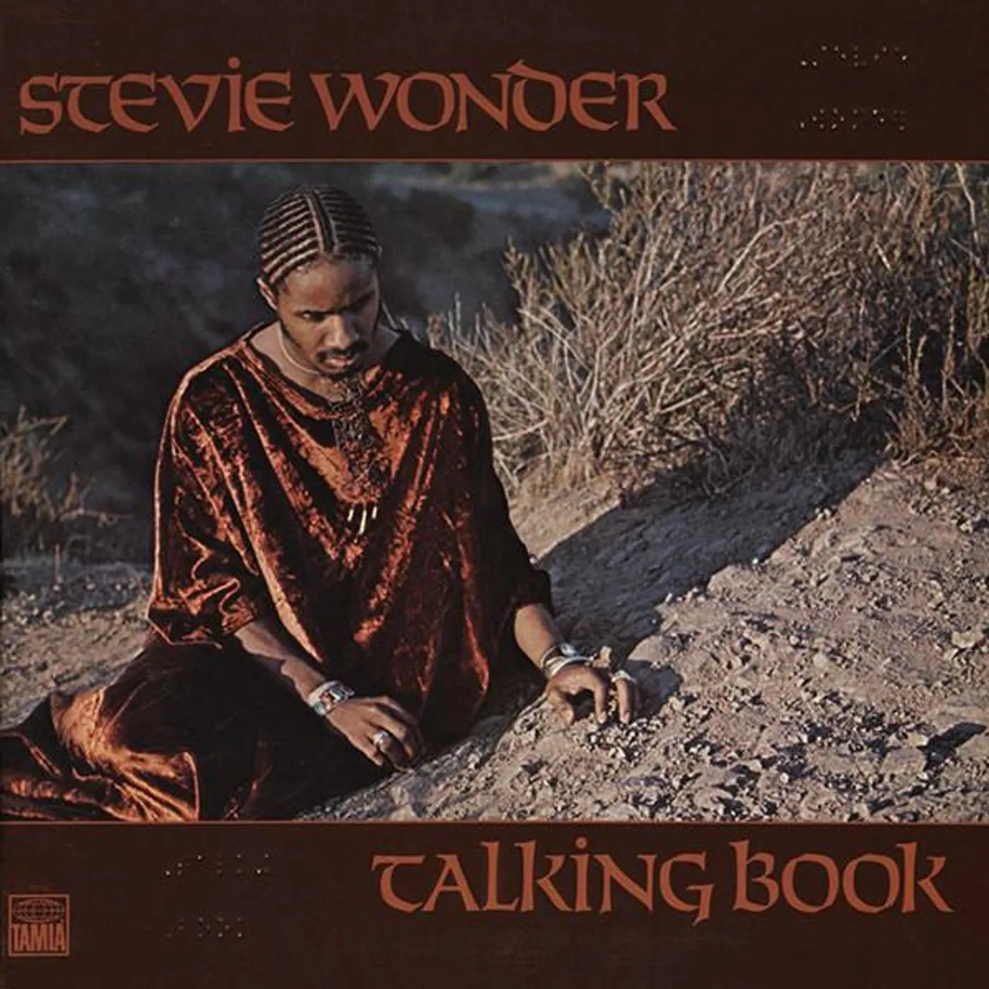 Stevie Wonder Talking Book Vinyl Record