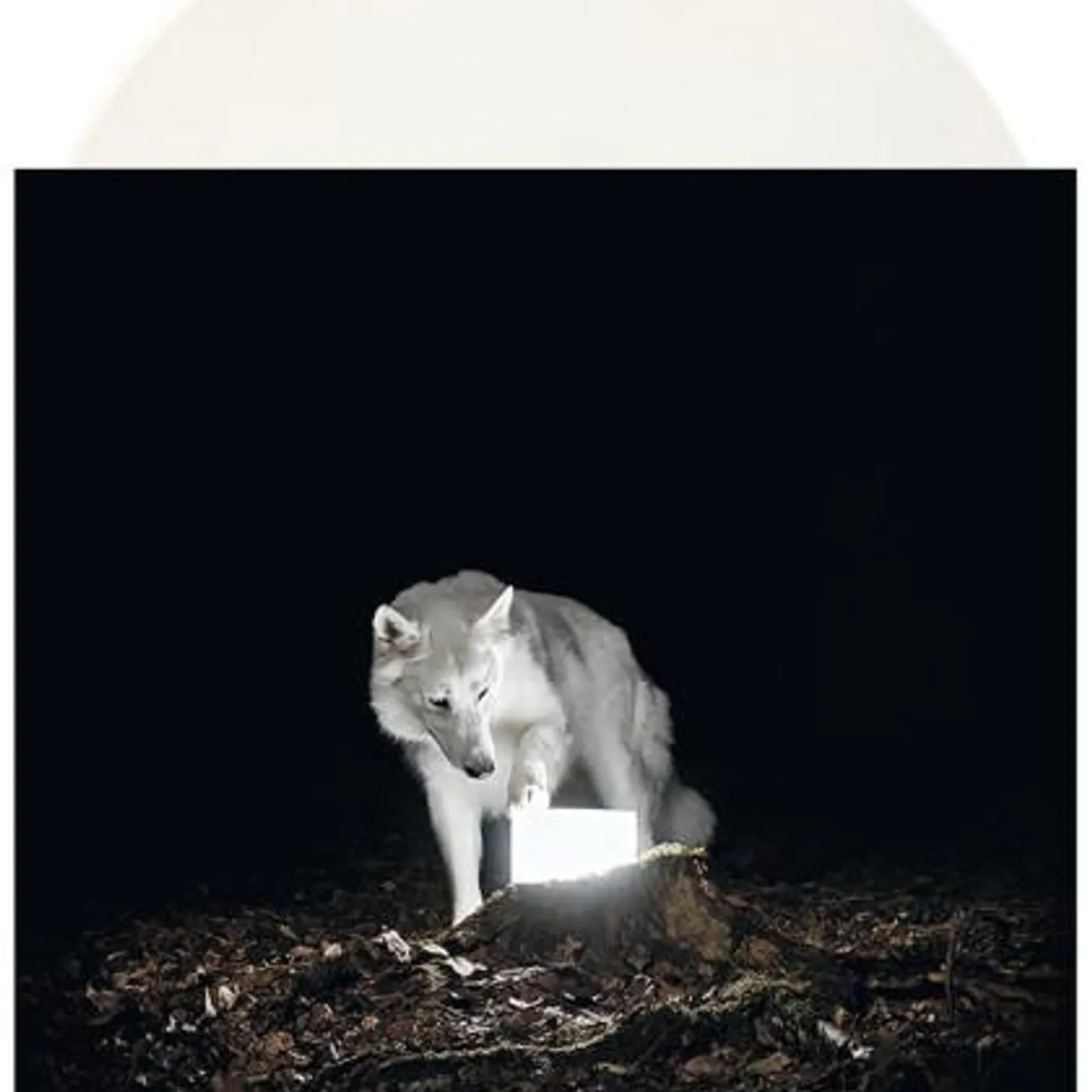 Vanishing Life Surveillance Vinyl Record