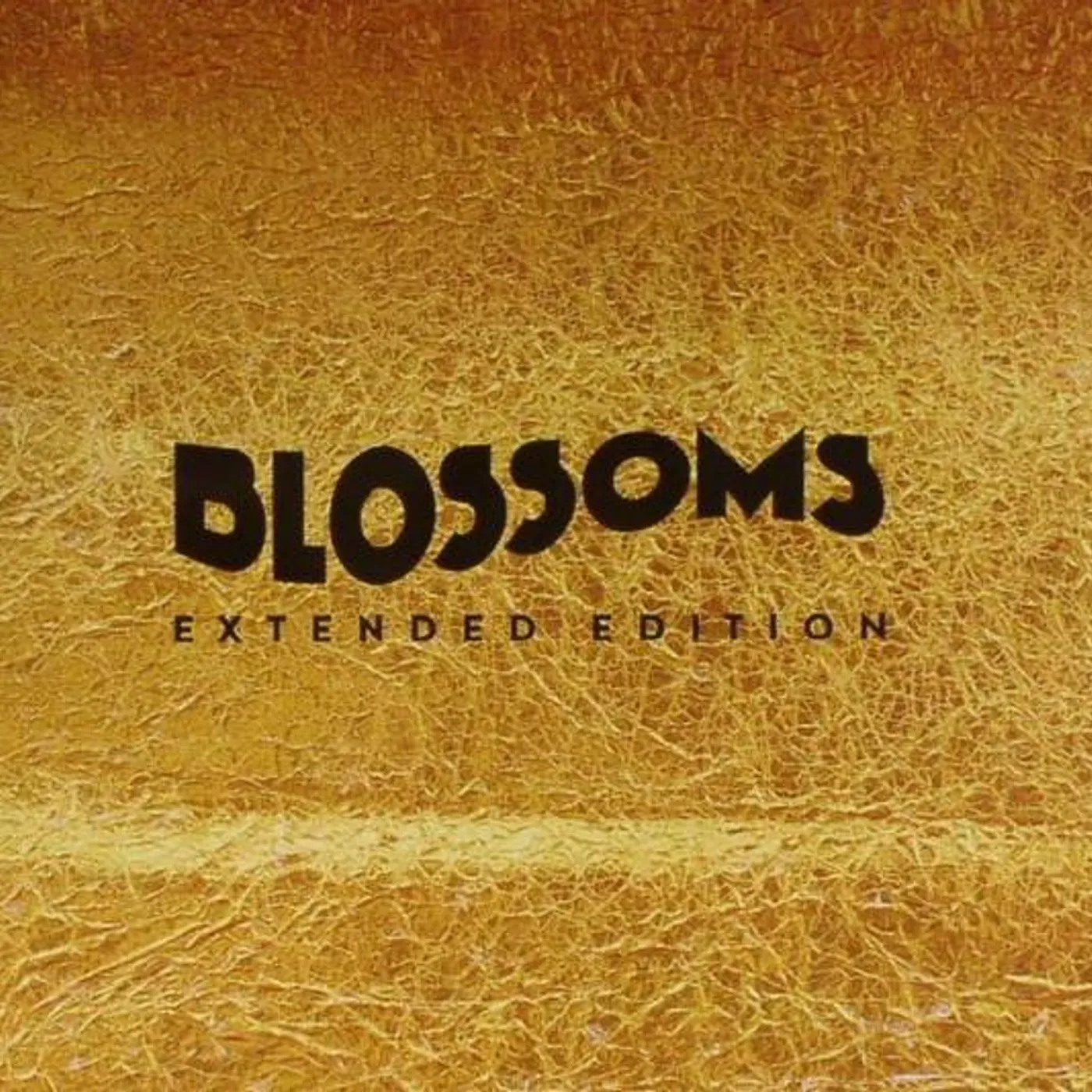 BLOSSOMS CD