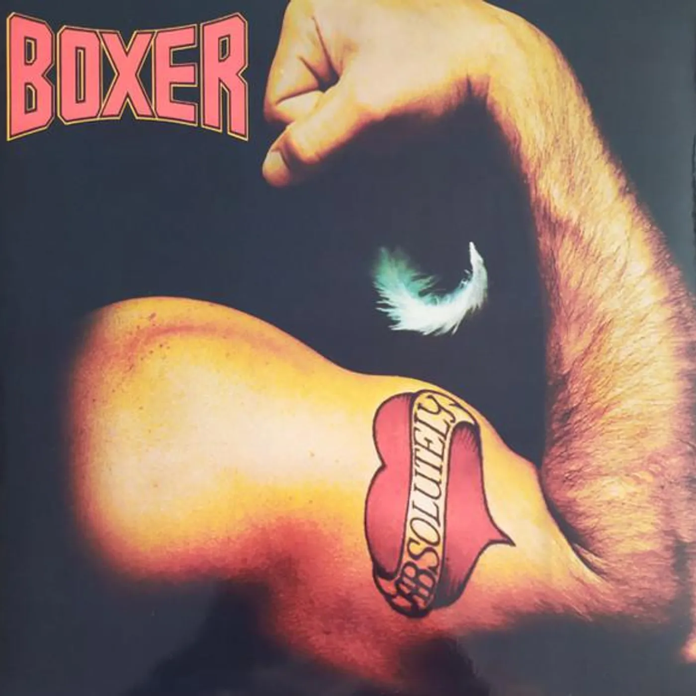 Boxer ABSOLUTELY Vinyl Record