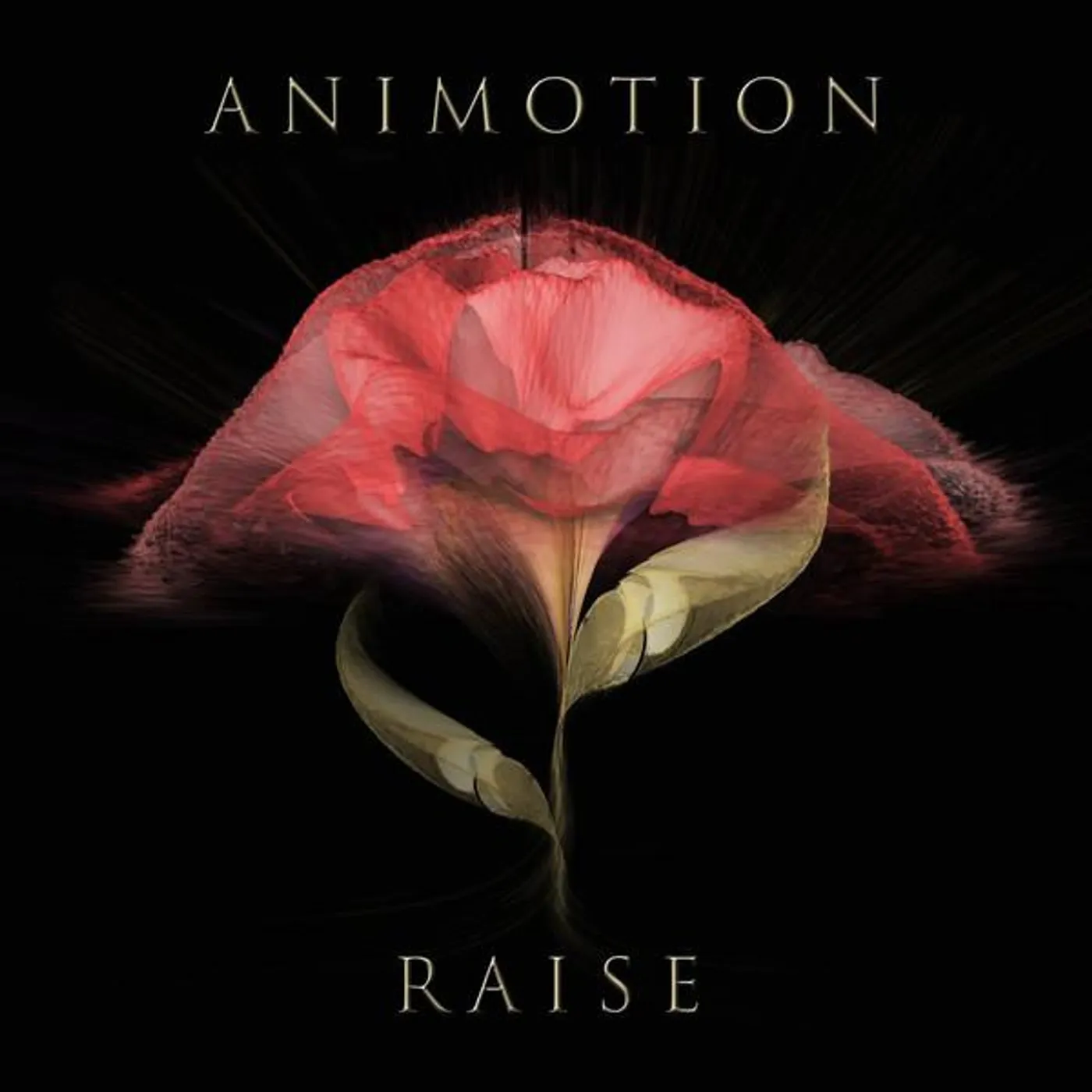 Animotion RAISE YOUR EXPECTATIONS Vinyl Record