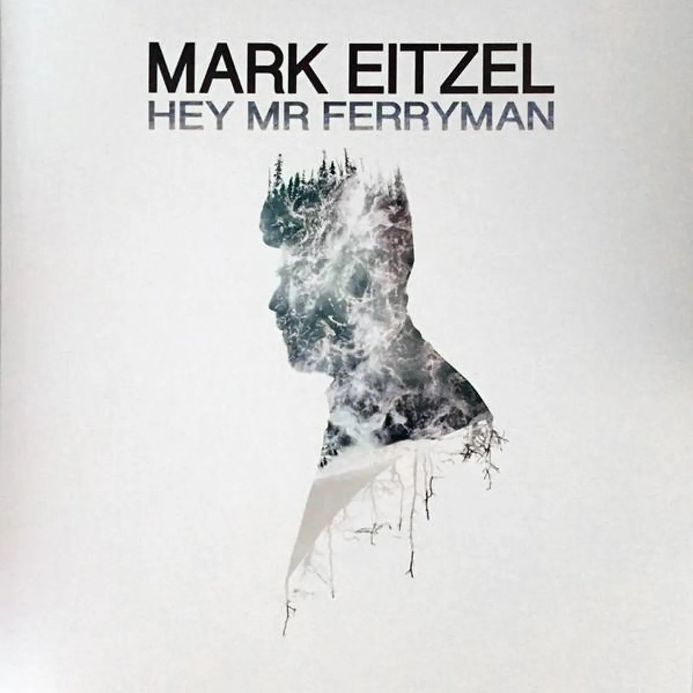 Mark Eitzel Hey Mr Ferryman Vinyl Record